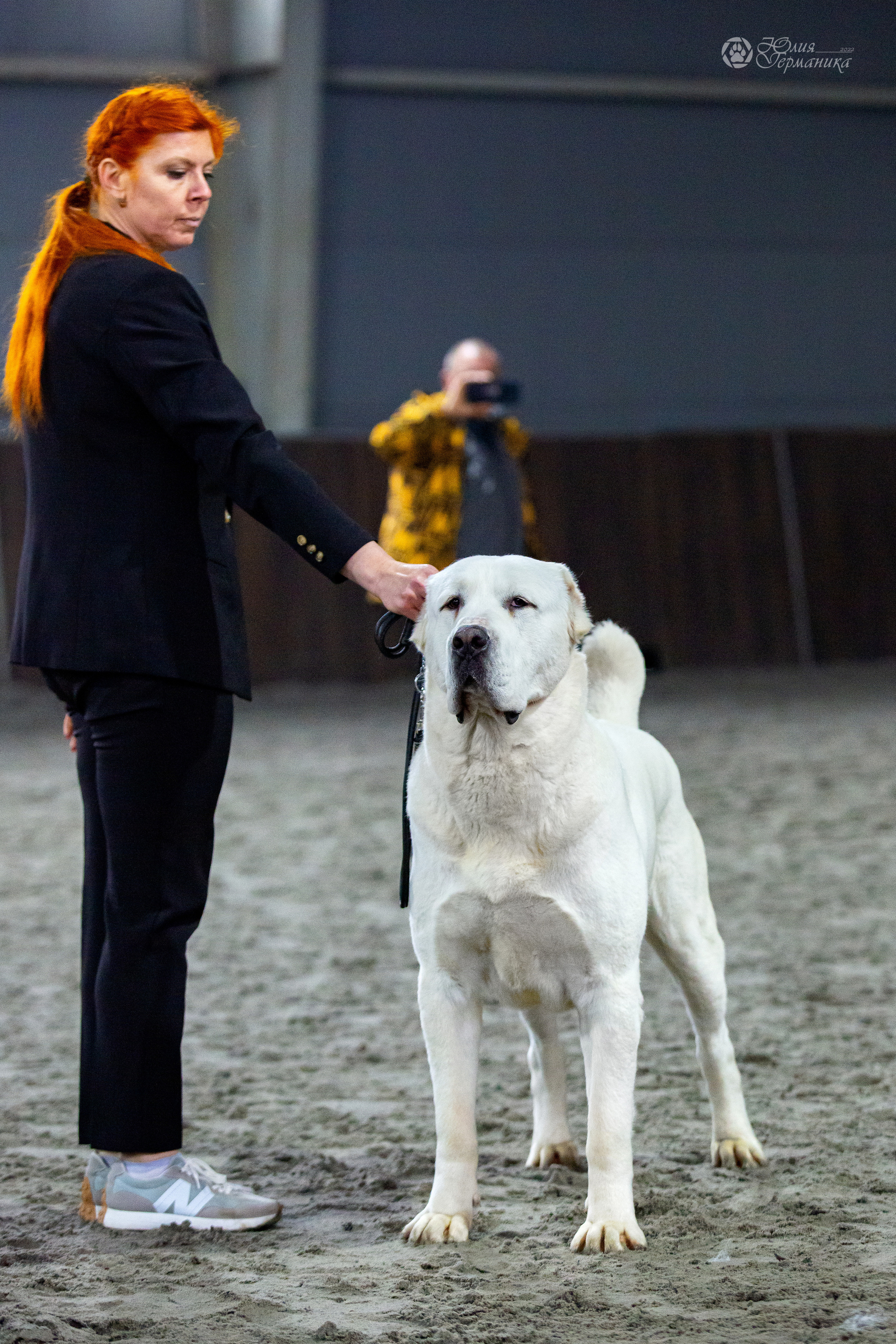 Националка САО+КЧК 24 апреля 2022. Фотограф-анималист Юлия Германика