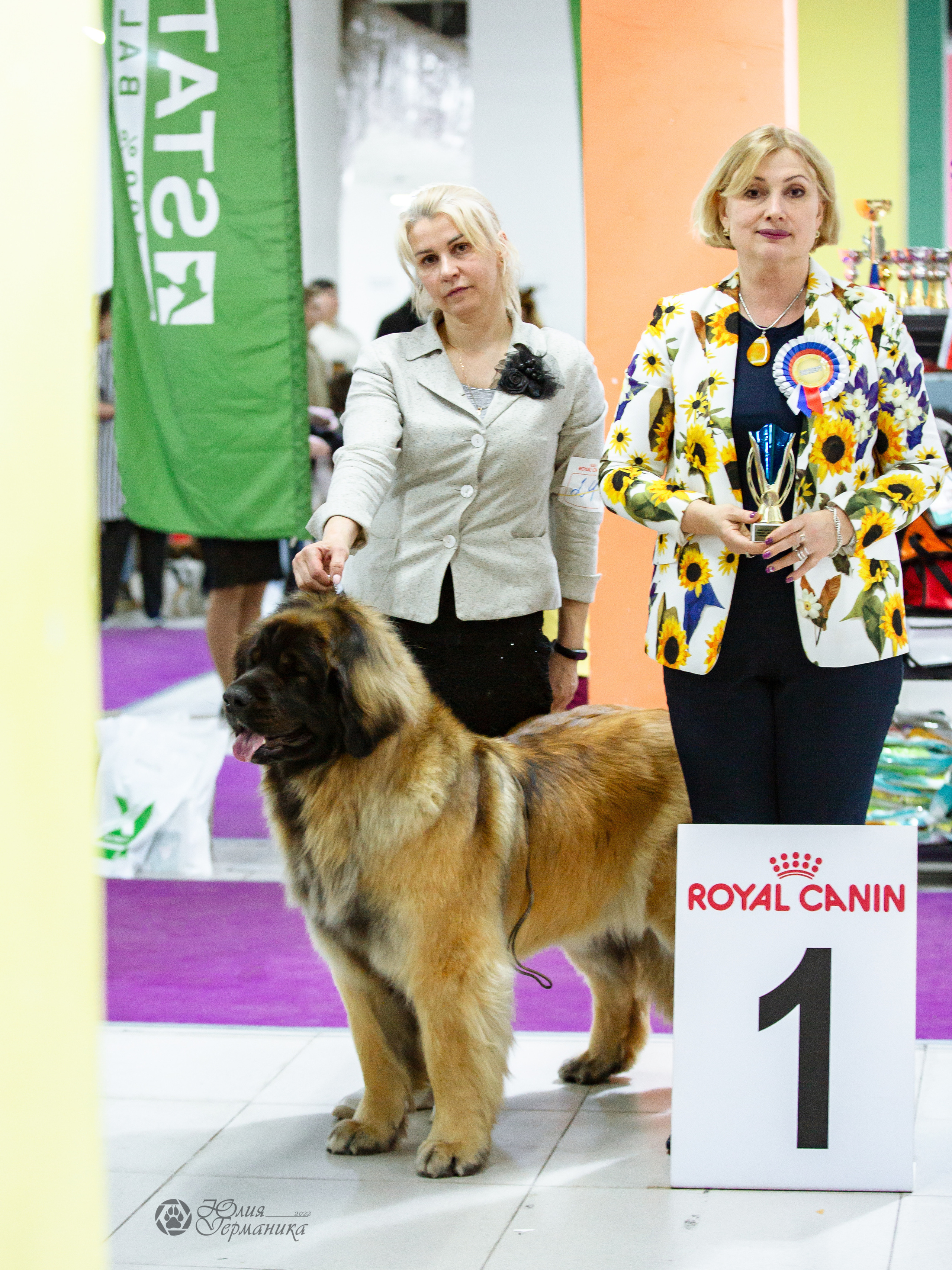 Чайна-Таун 16-17 апреля 2022. Фотограф-анималист Юлия Германика