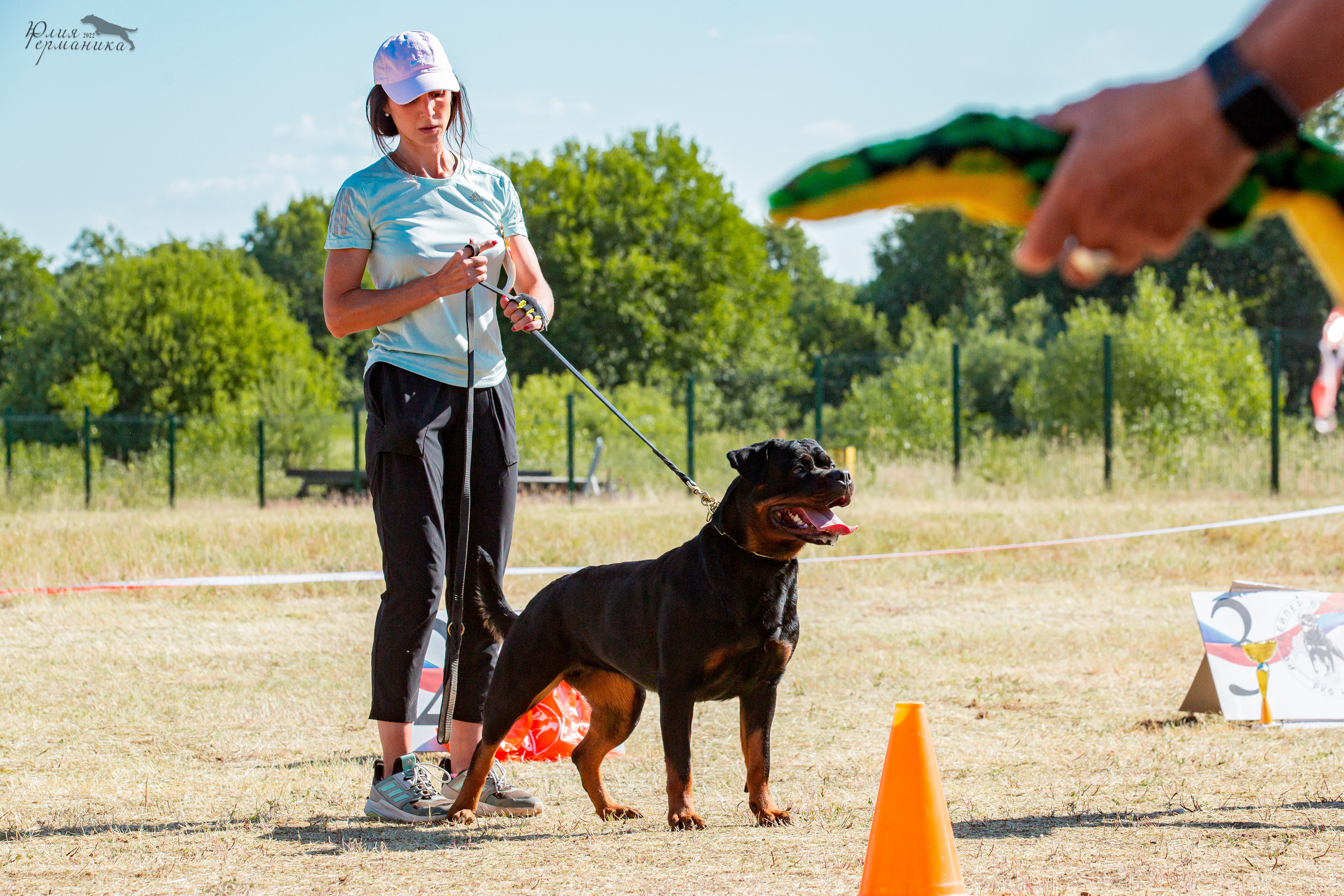Тверь моно ротвейлеров 2-3.07.2022. Фотограф-анималист Юлия Германика
