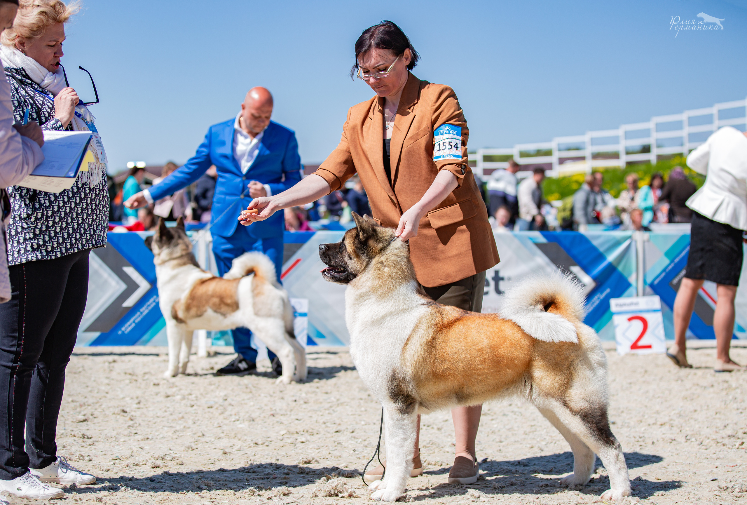 Евразия 21-22 мая 2022. Фотограф-анималист Юлия Германика