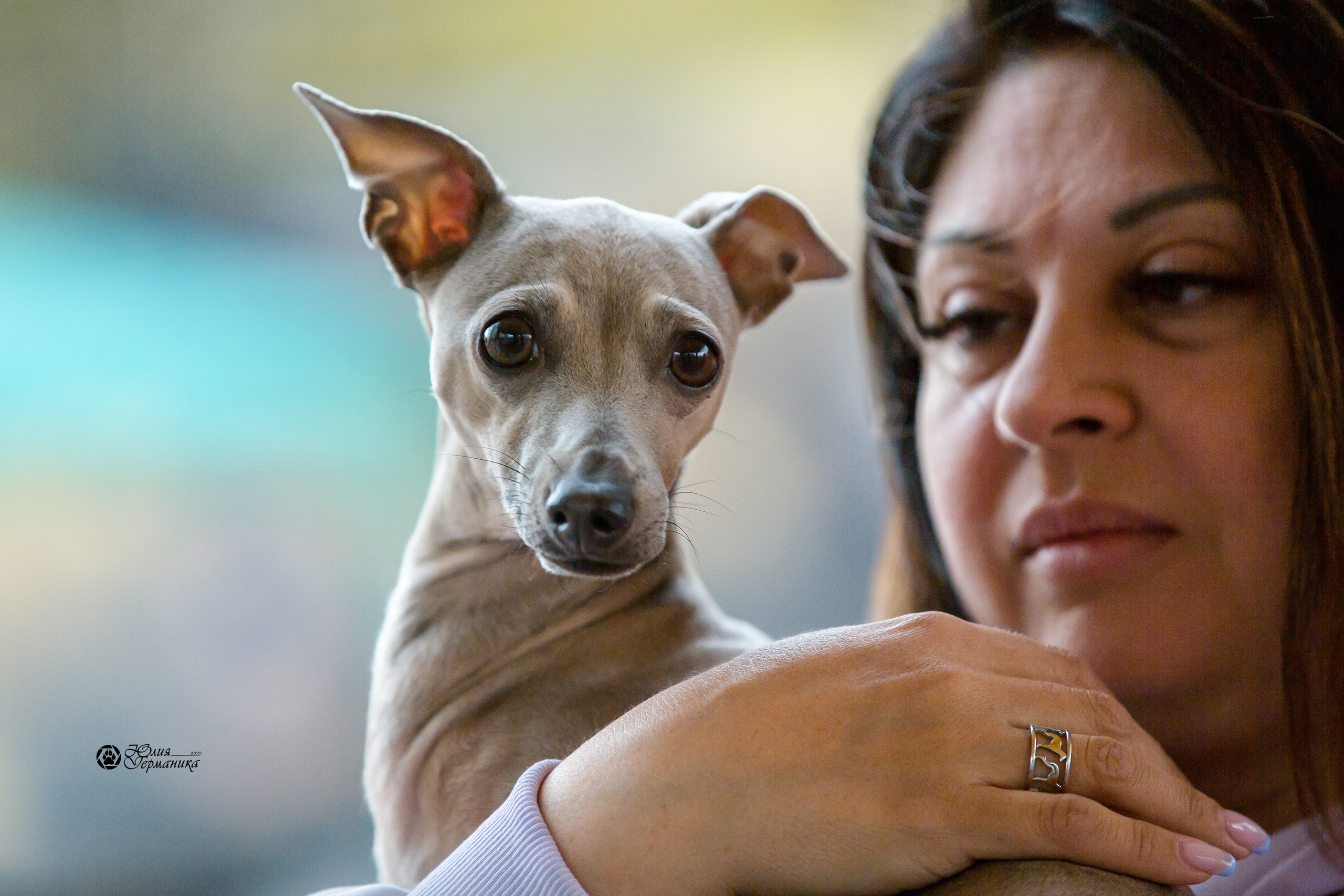 Александров 2хСАС 8 мая 2022. Фотограф-анималист Юлия Германика