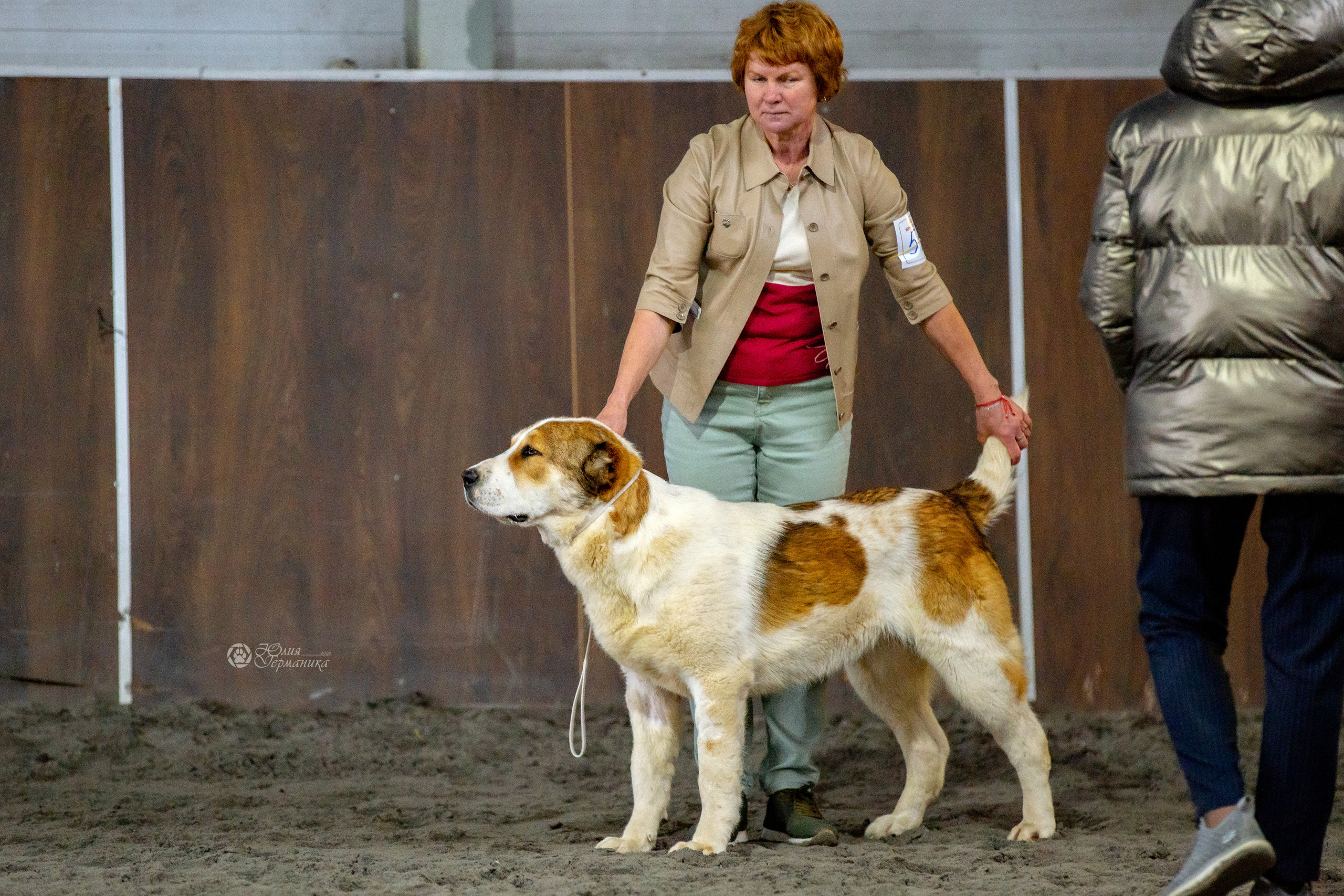 Националка САО+КЧК 24 апреля 2022. Фотограф-анималист Юлия Германика