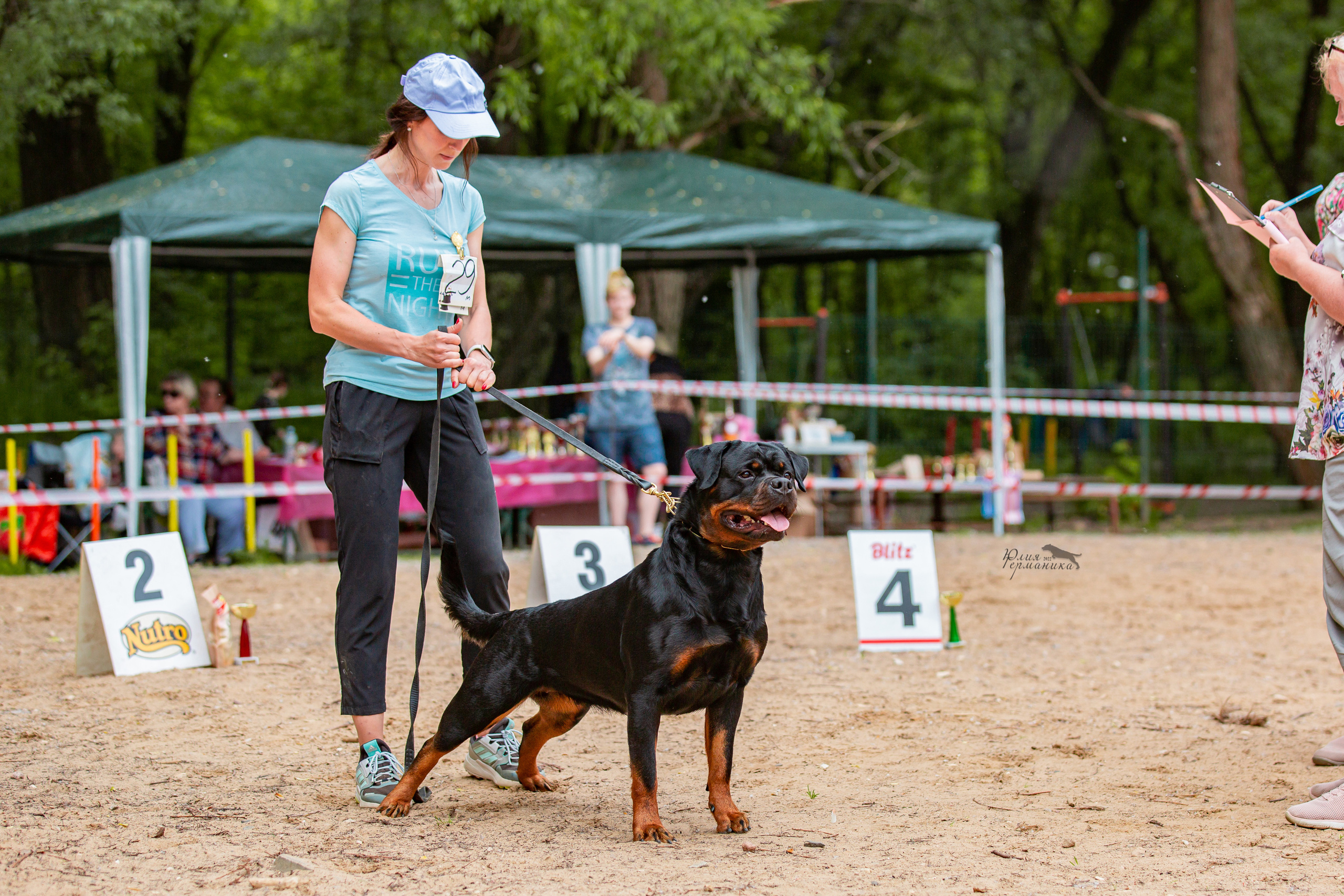Смоленск 12.06,   Ховрино 13.06,    Питер 18.06 2022. Фотограф-анималист Юлия Германика