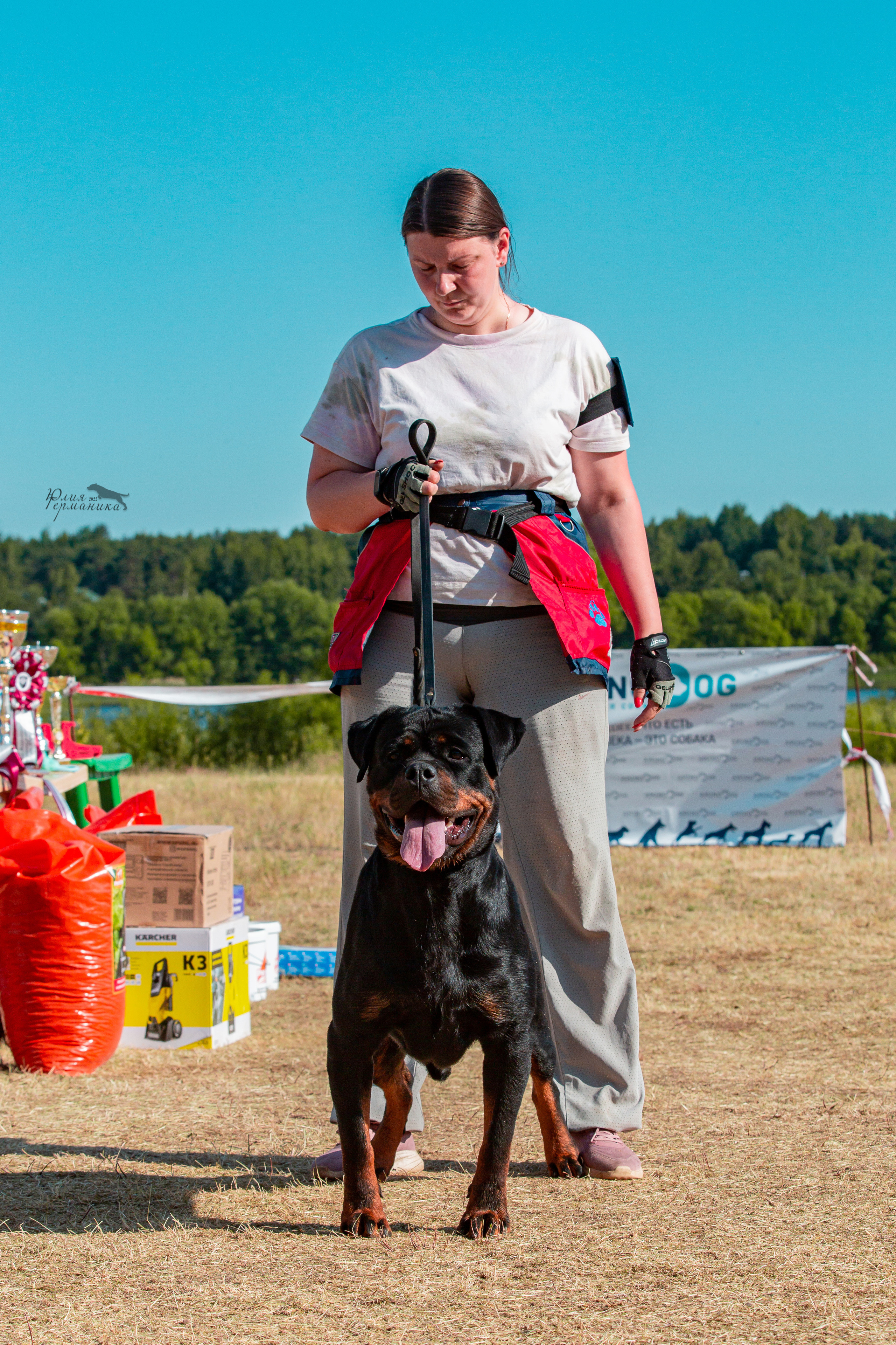 Тверь моно ротвейлеров 2-3.07.2022. Фотограф-анималист Юлия Германика