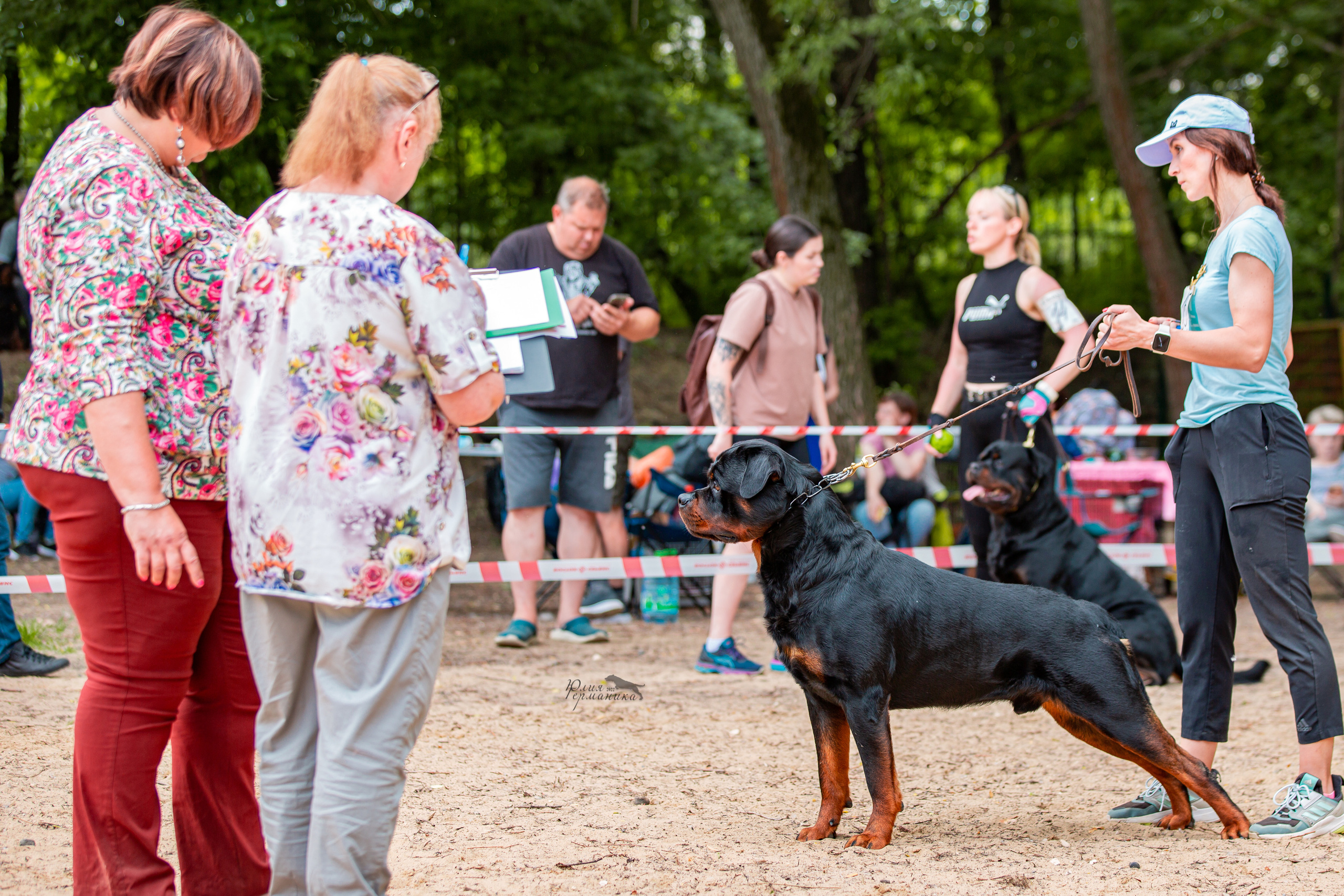 Смоленск 12.06,   Ховрино 13.06,    Питер 18.06 2022. Фотограф-анималист Юлия Германика