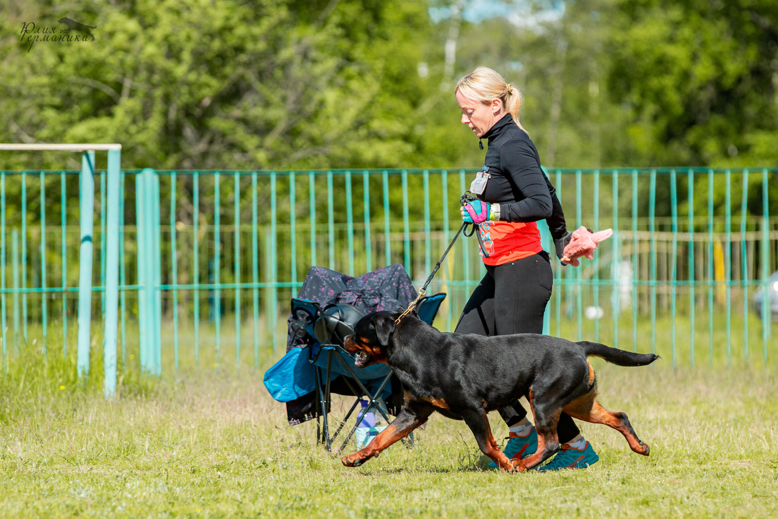 Воронеж моно ротвейлеров 28-29 мая 2022. Фотограф-анималист Юлия Германика