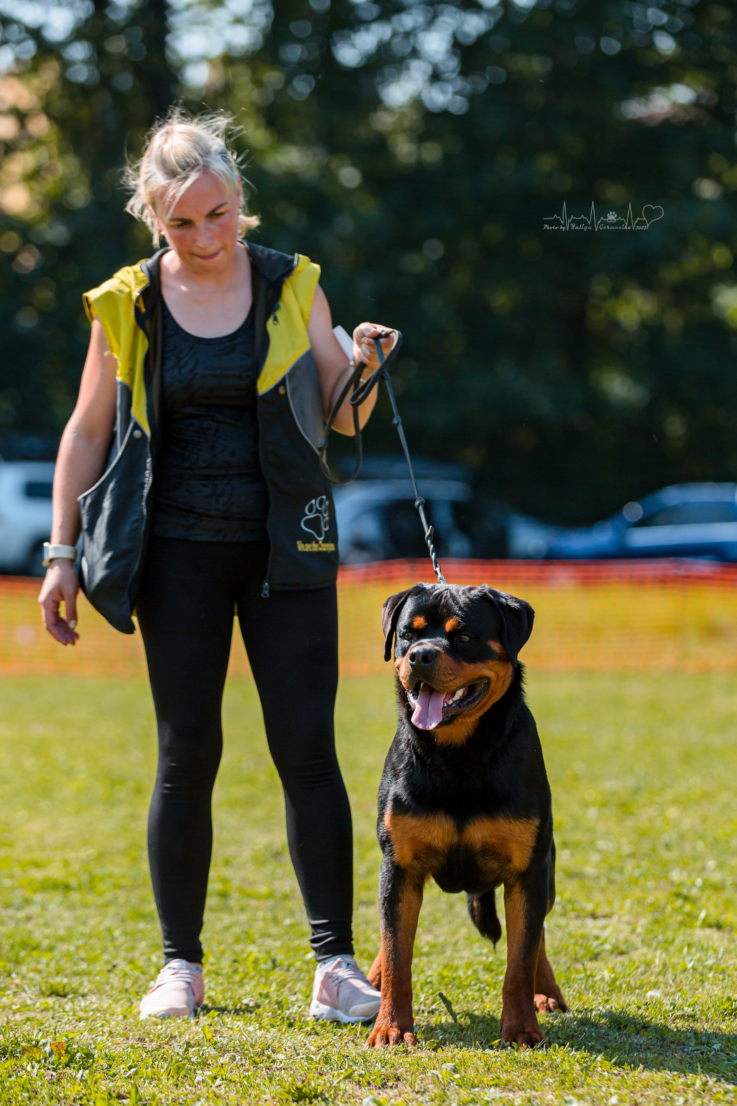 Санкт-Петербург моно ротвейлеров 23.07.2022. Фотограф-анималист Юлия Германика