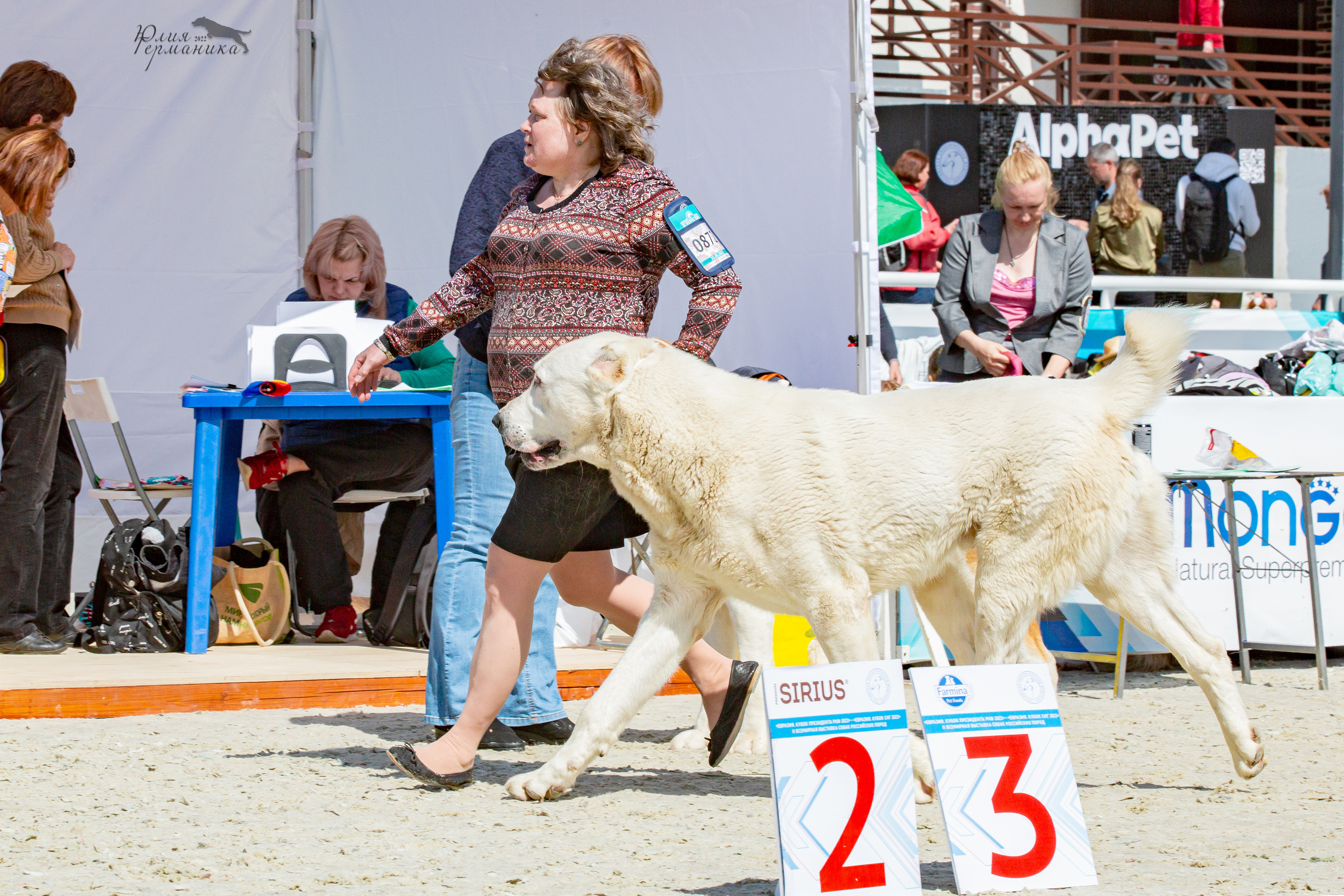 Евразия 21-22 мая 2022. Фотограф-анималист Юлия Германика