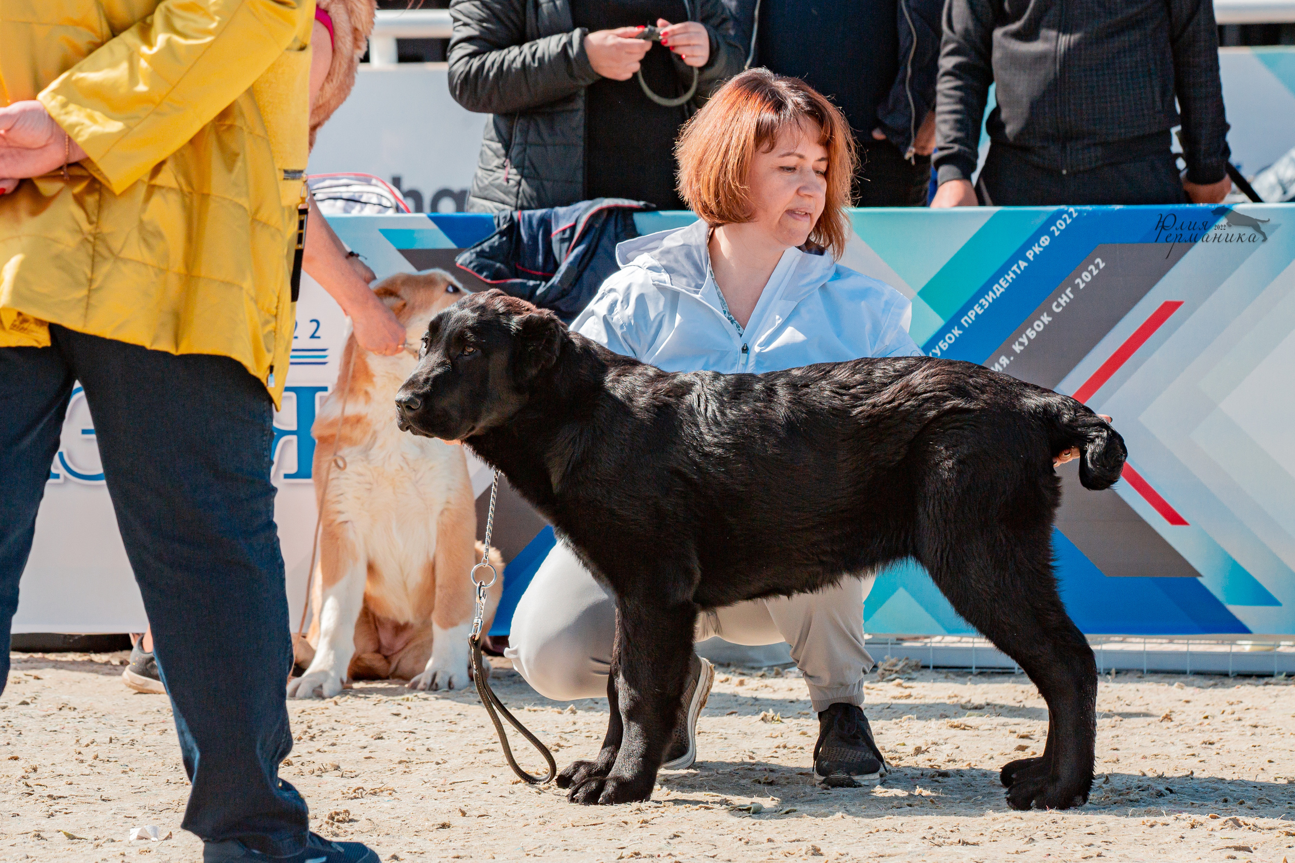 Евразия 21-22 мая 2022. Фотограф-анималист Юлия Германика