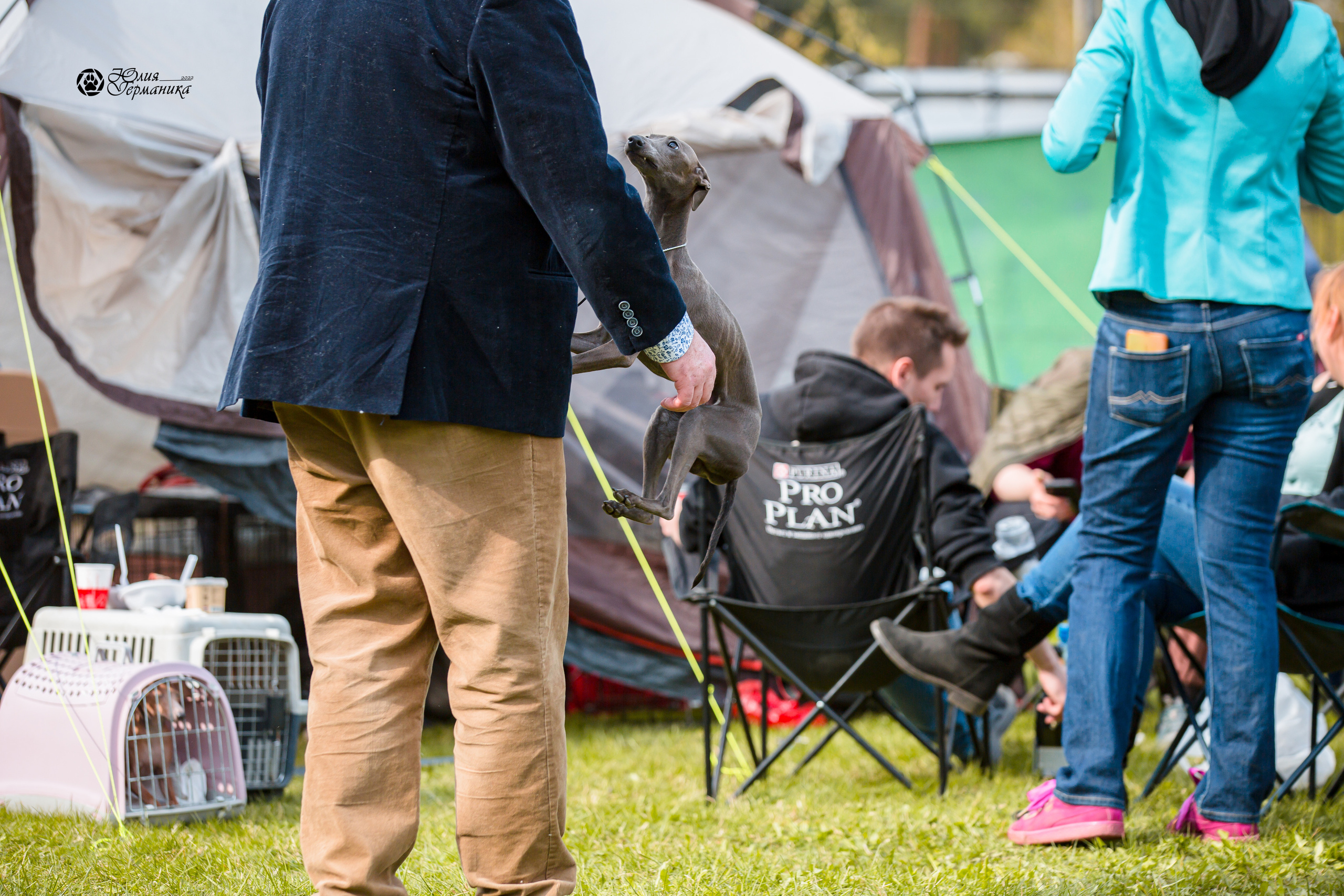 Александров 2хСАС 8 мая 2022. Фотограф-анималист Юлия Германика