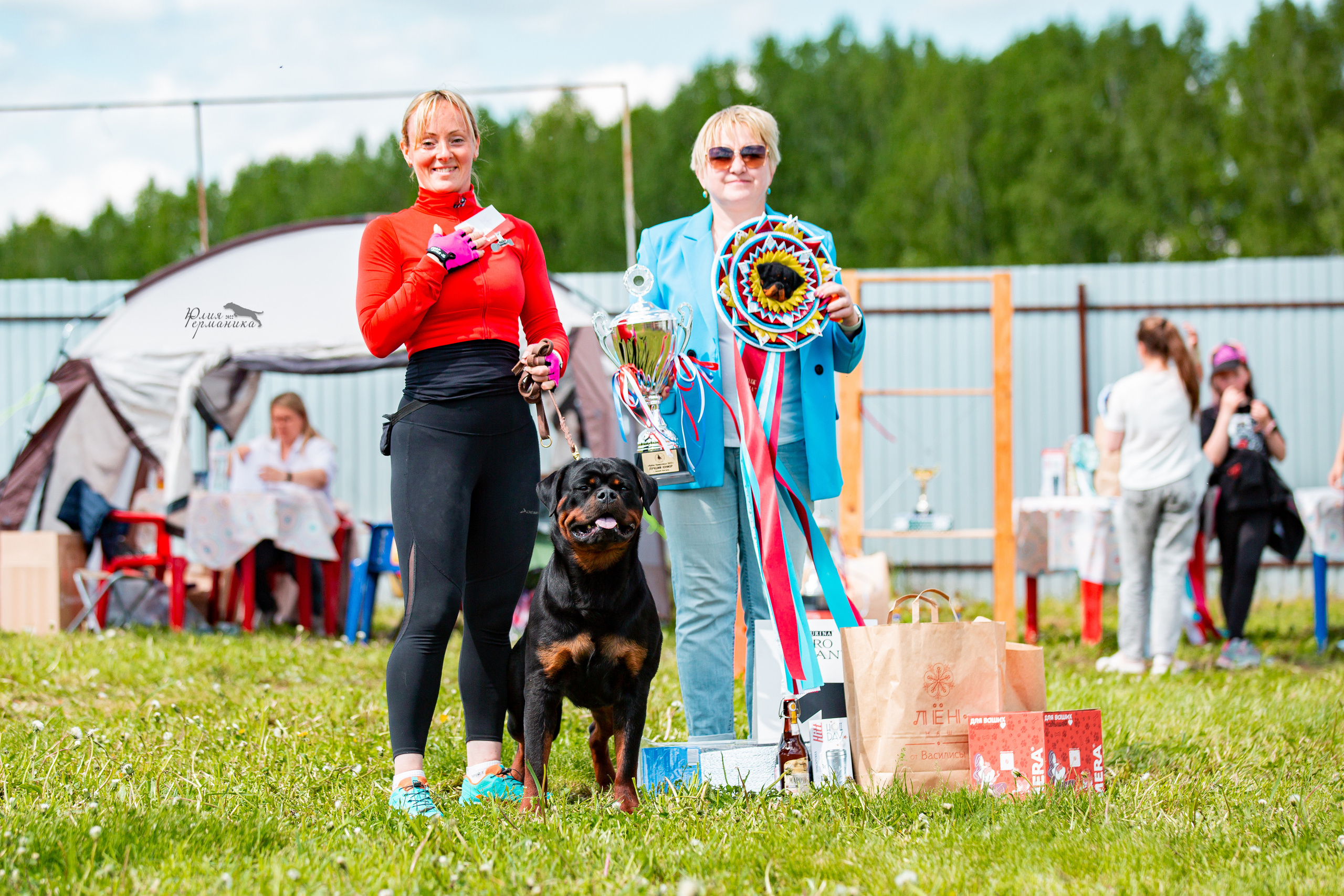 Нижний Новгород моно ротвейлеров 4 июня 2022. Фотограф-анималист Юлия Германика