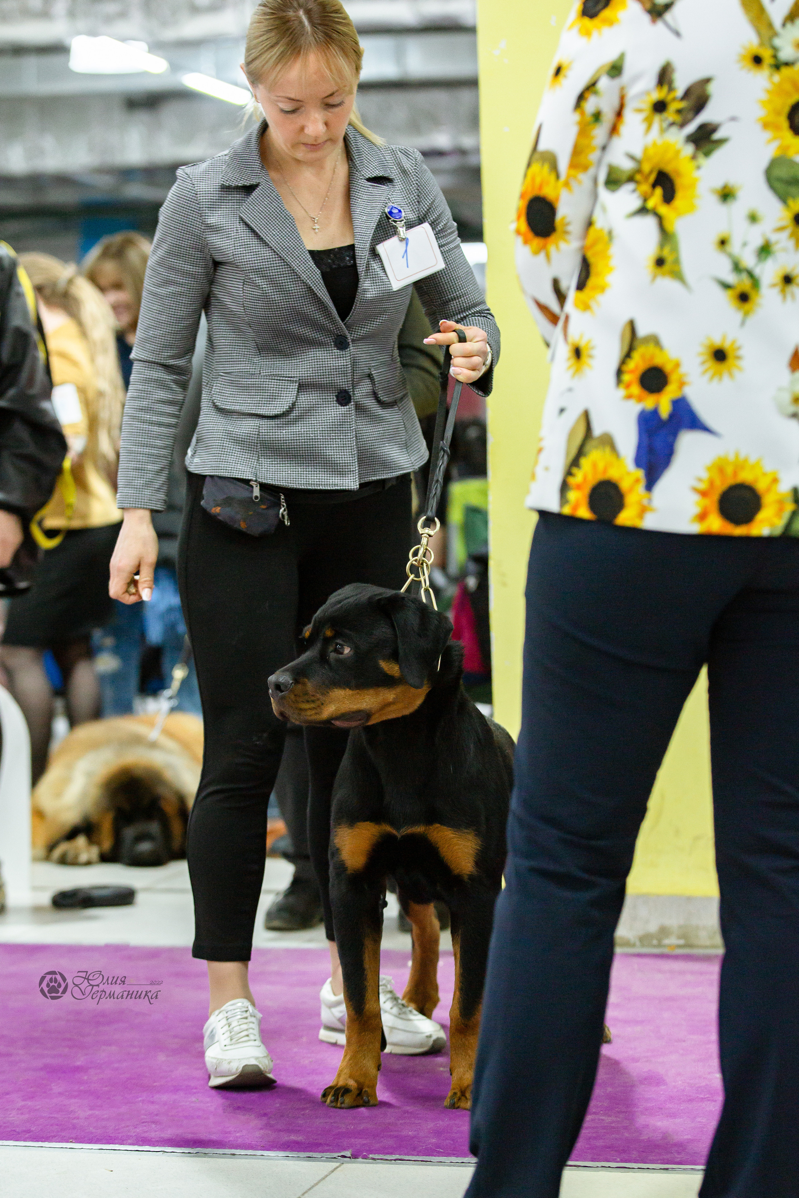 Чайна-Таун 16-17 апреля 2022. Фотограф-анималист Юлия Германика