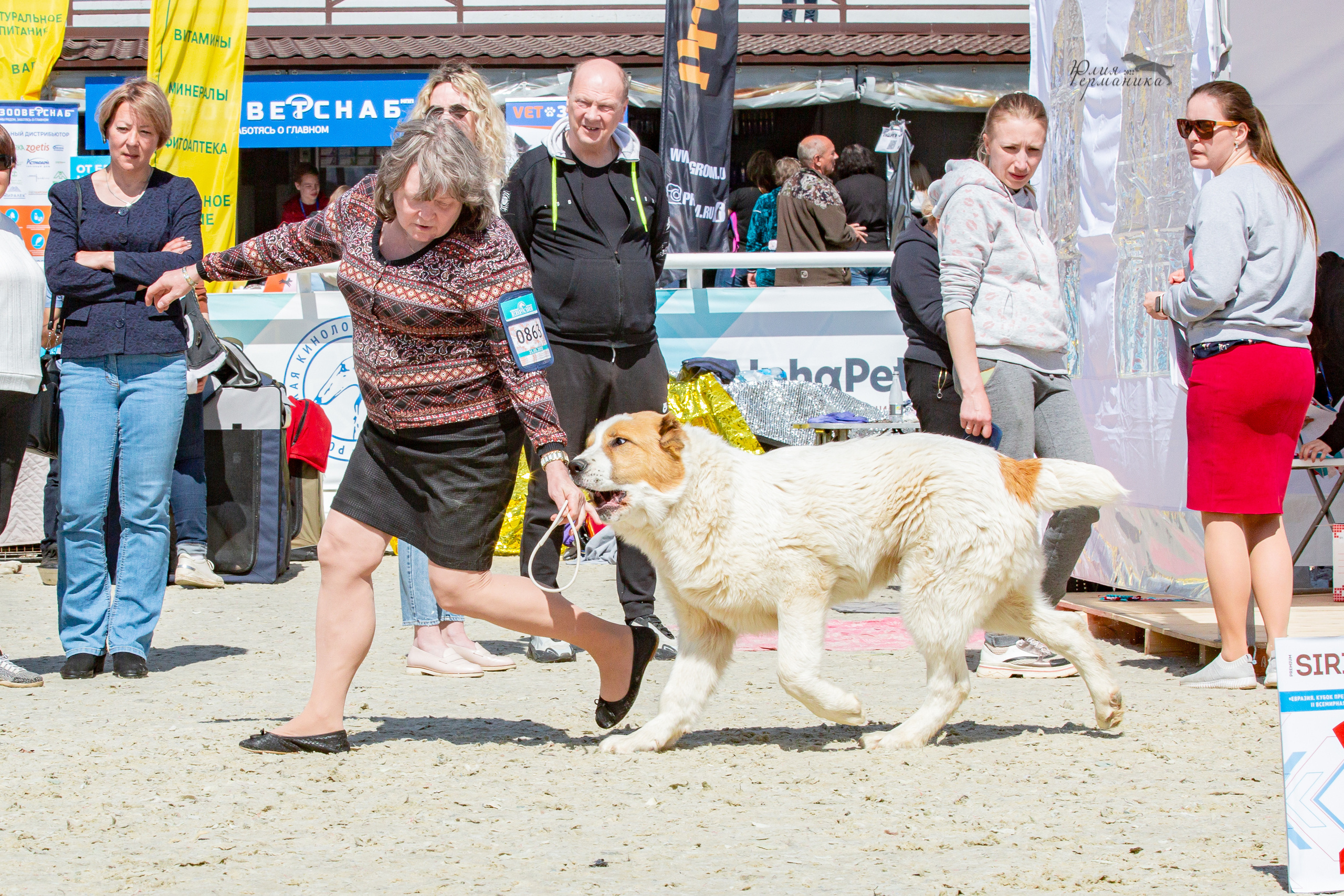 Евразия 21-22 мая 2022. Фотограф-анималист Юлия Германика