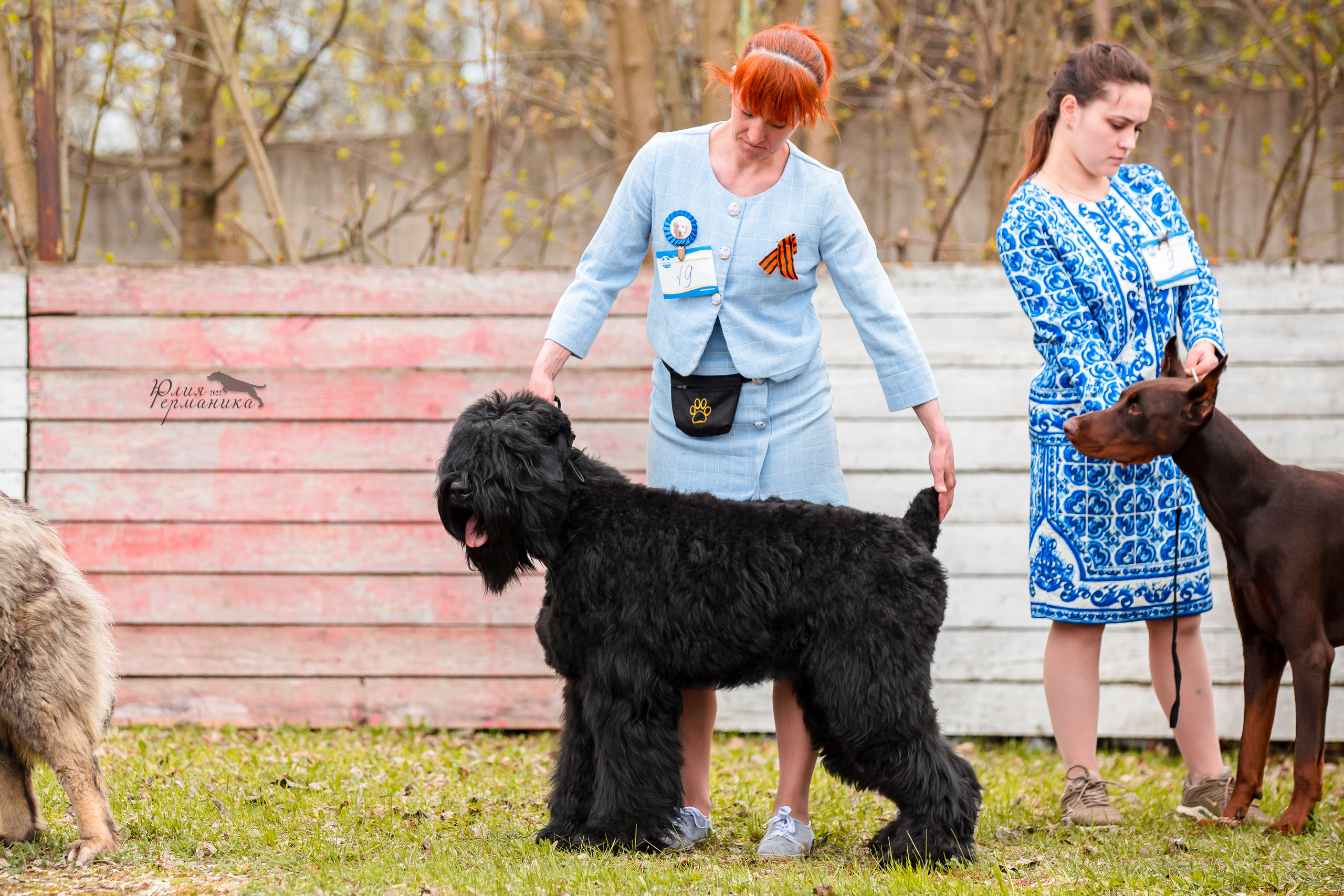 Александров 2хСАС 8 мая 2022. Фотограф-анималист Юлия Германика