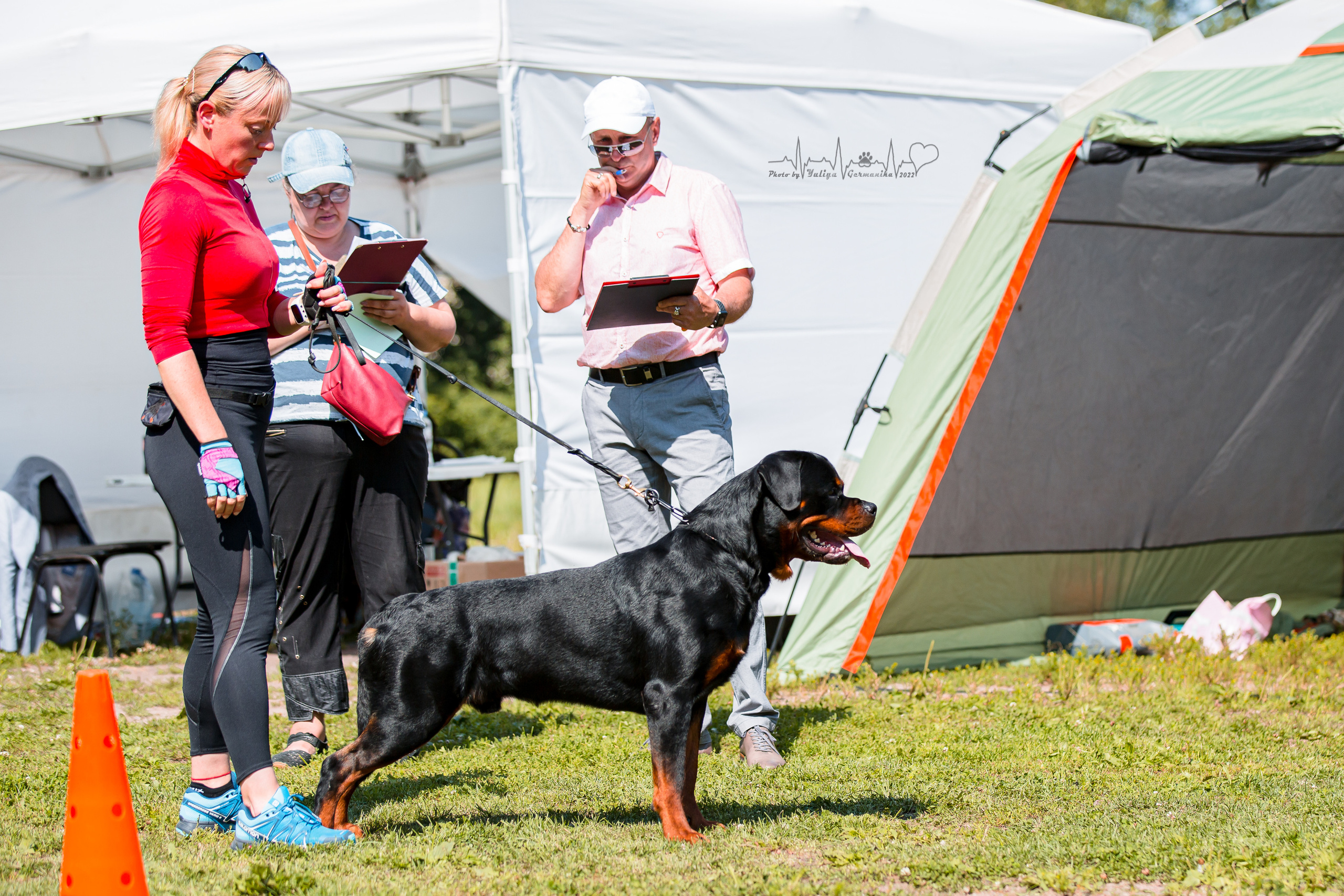 Санкт-Петербург моно ротвейлеров 23.07.2022. Фотограф-анималист Юлия Германика