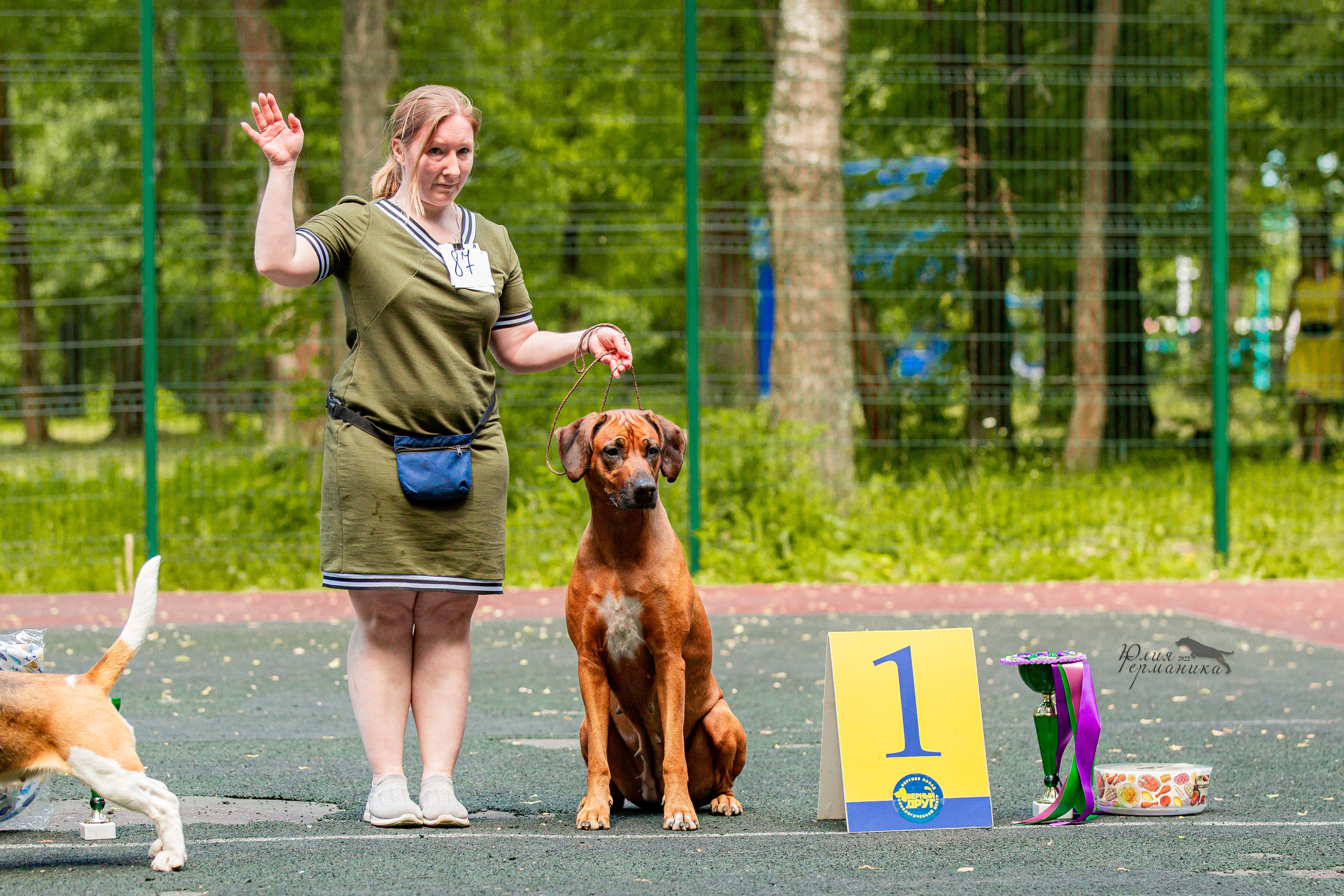 Сергиев Посад 2хСАС 25.06.2022. Фотограф-анималист Юлия Германика