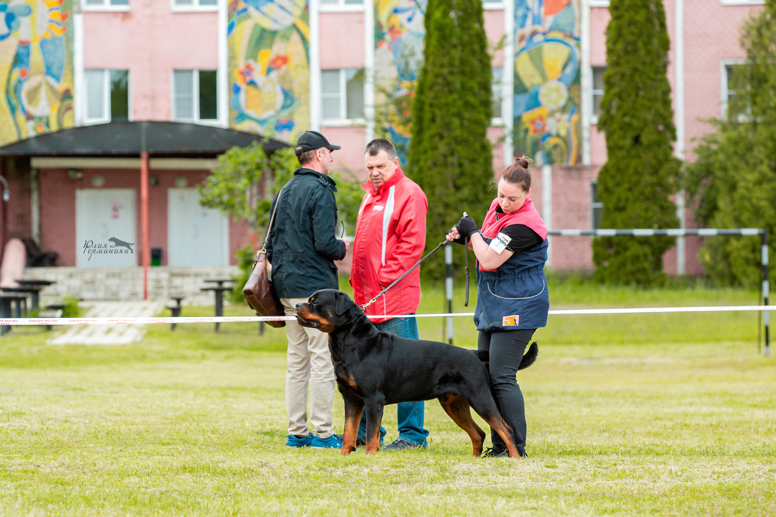 Воронеж моно ротвейлеров 28-29 мая 2022. Фотограф-анималист Юлия Германика