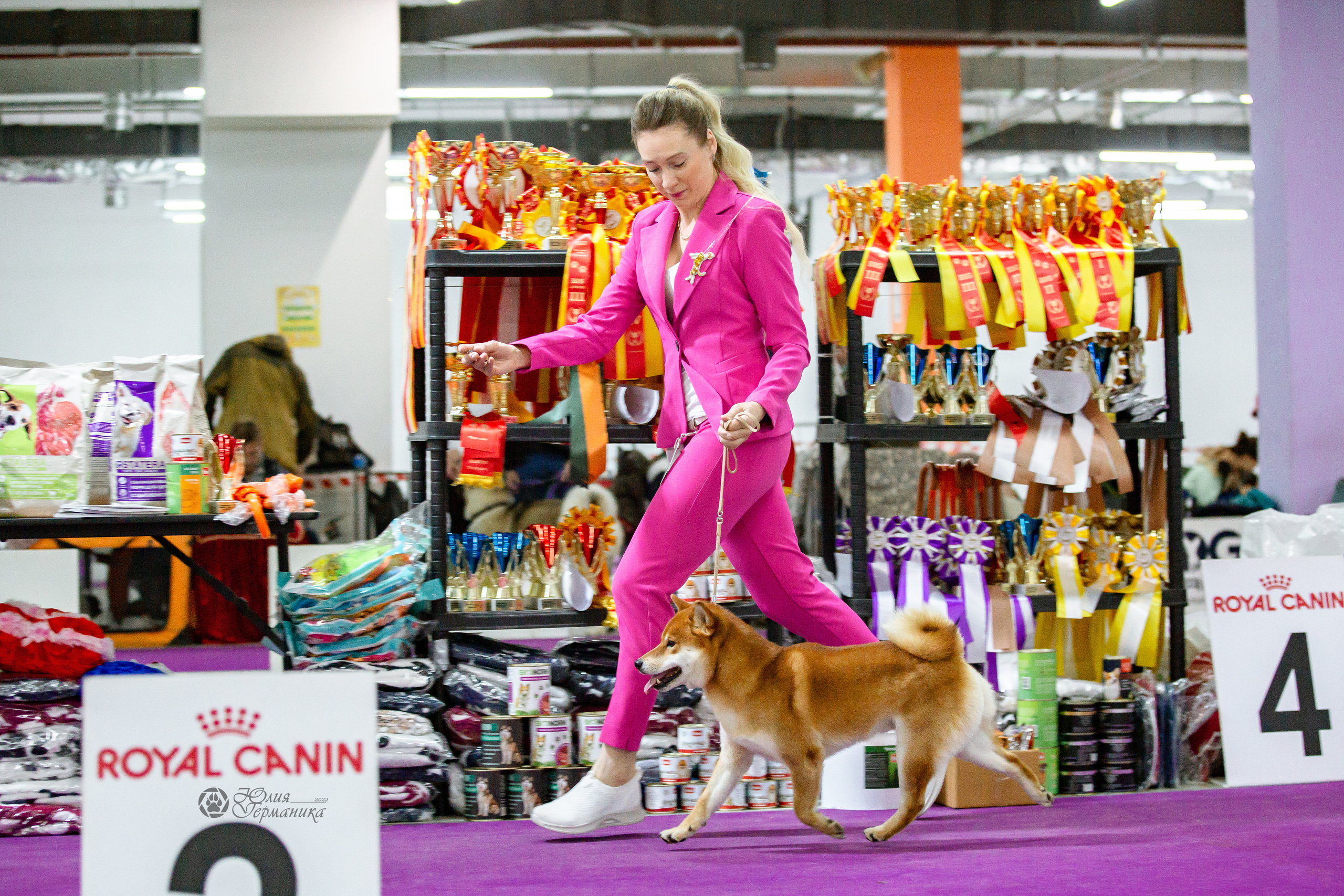 Чайна-Таун 16-17 апреля 2022. Фотограф-анималист Юлия Германика