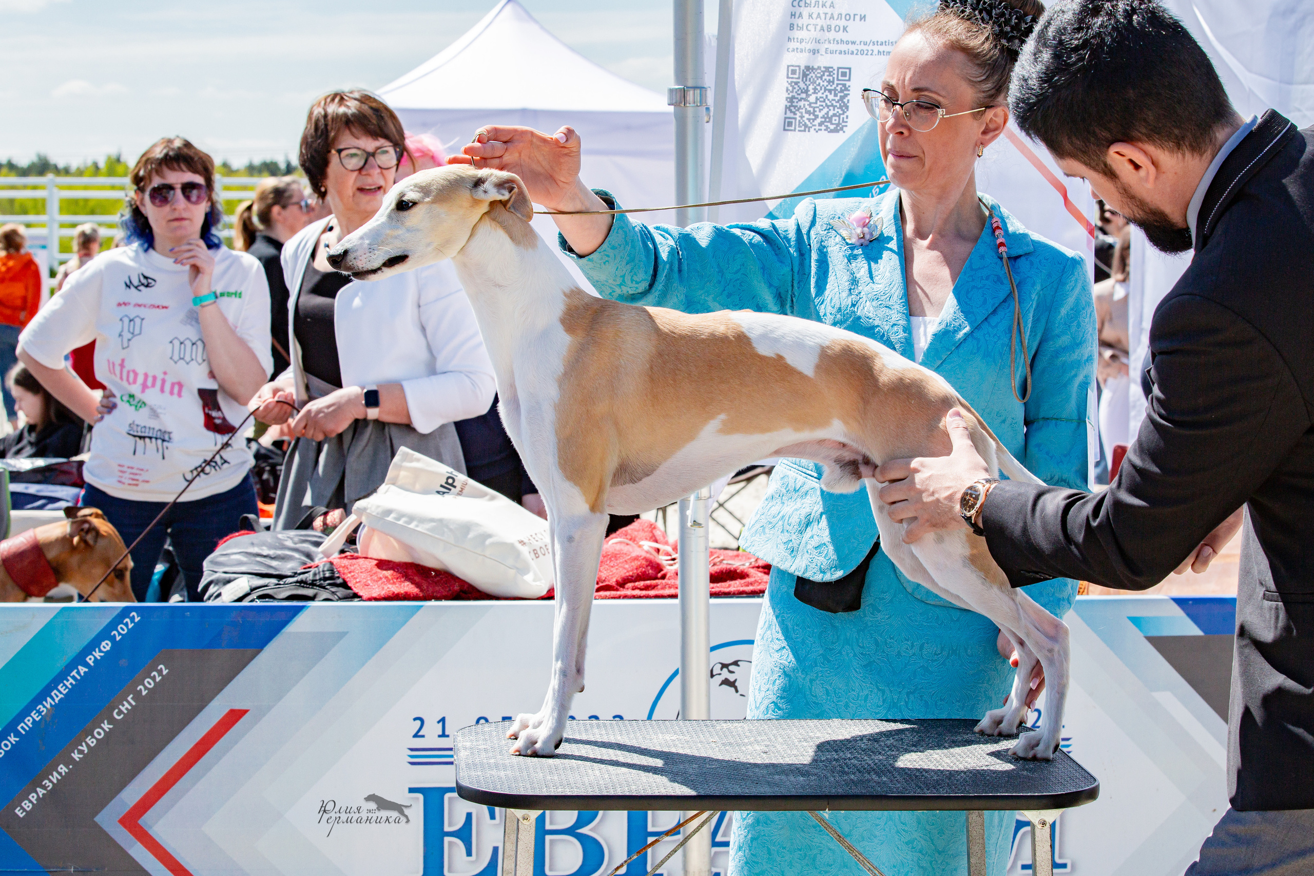 Евразия 21-22 мая 2022. Фотограф-анималист Юлия Германика