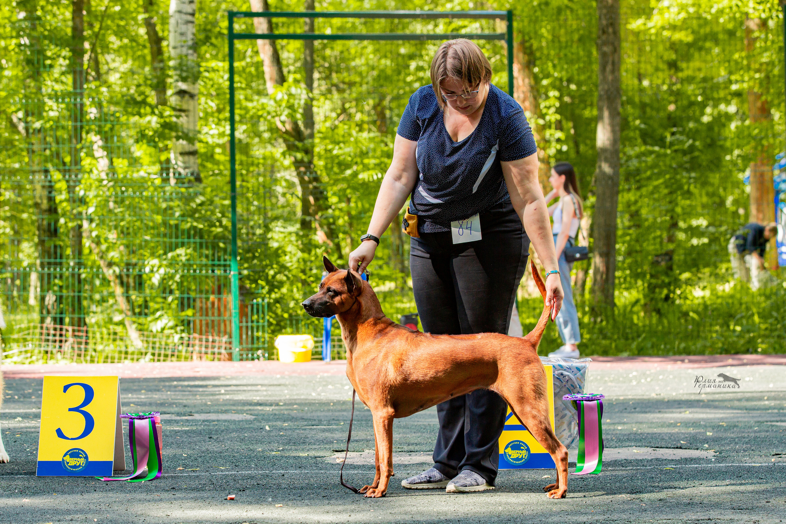 Сергиев Посад 2хСАС 25.06.2022. Фотограф-анималист Юлия Германика