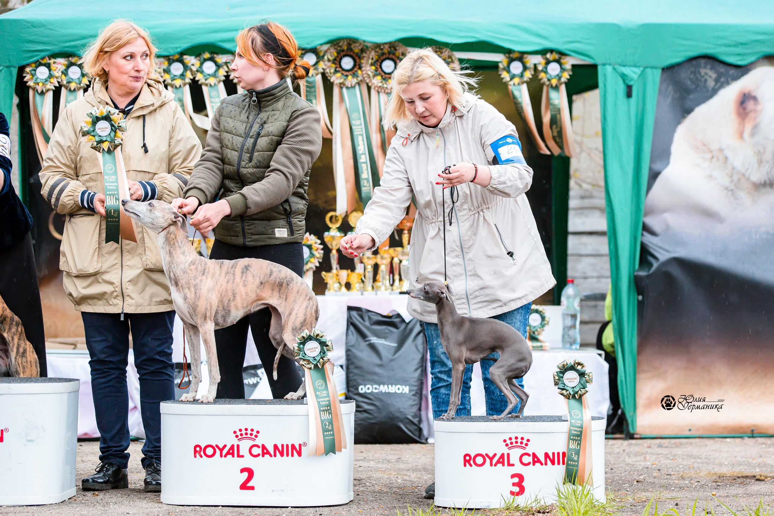 Александров 2хСАС 8 мая 2022. Фотограф-анималист Юлия Германика