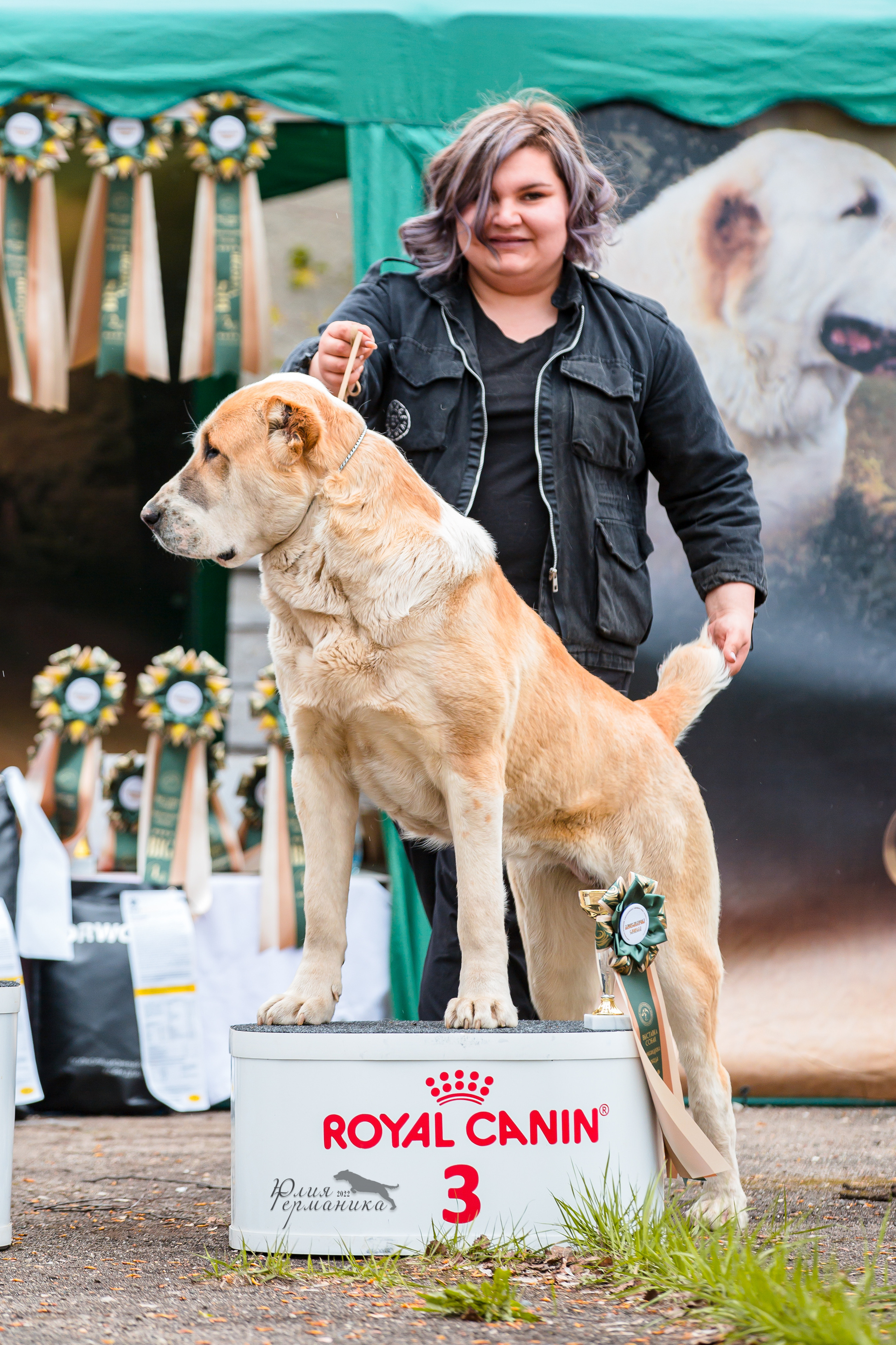 Александров 2хСАС 8 мая 2022. Фотограф-анималист Юлия Германика