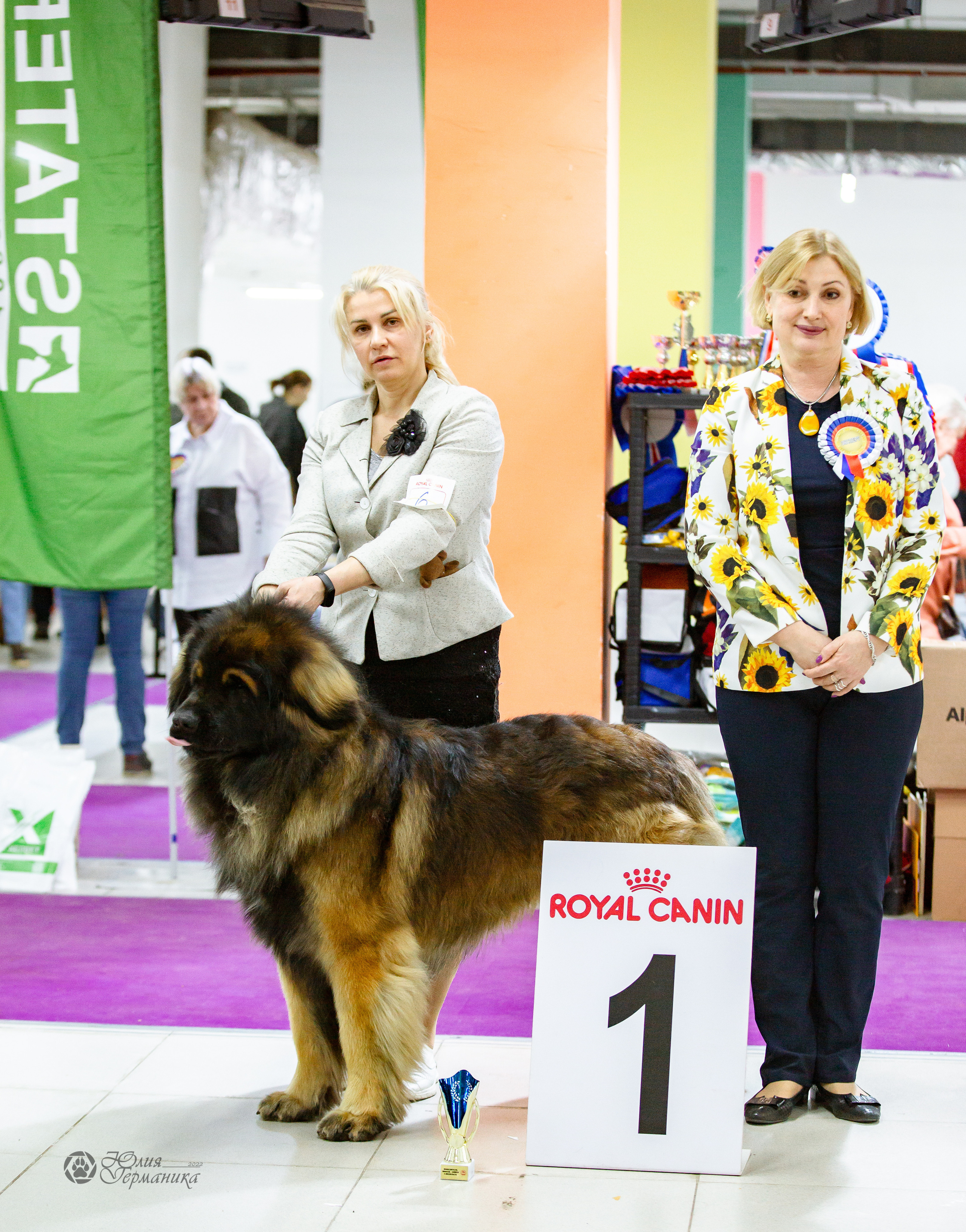 Чайна-Таун 16-17 апреля 2022. Фотограф-анималист Юлия Германика
