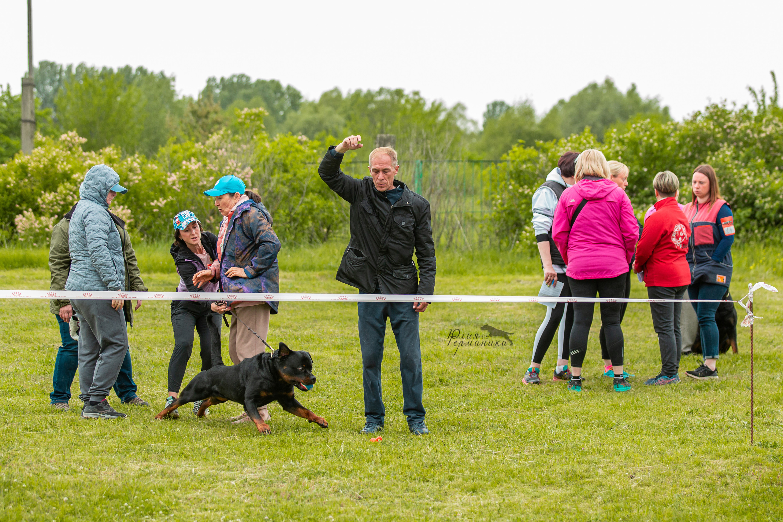 Воронеж моно ротвейлеров 28-29 мая 2022. Фотограф-анималист Юлия Германика