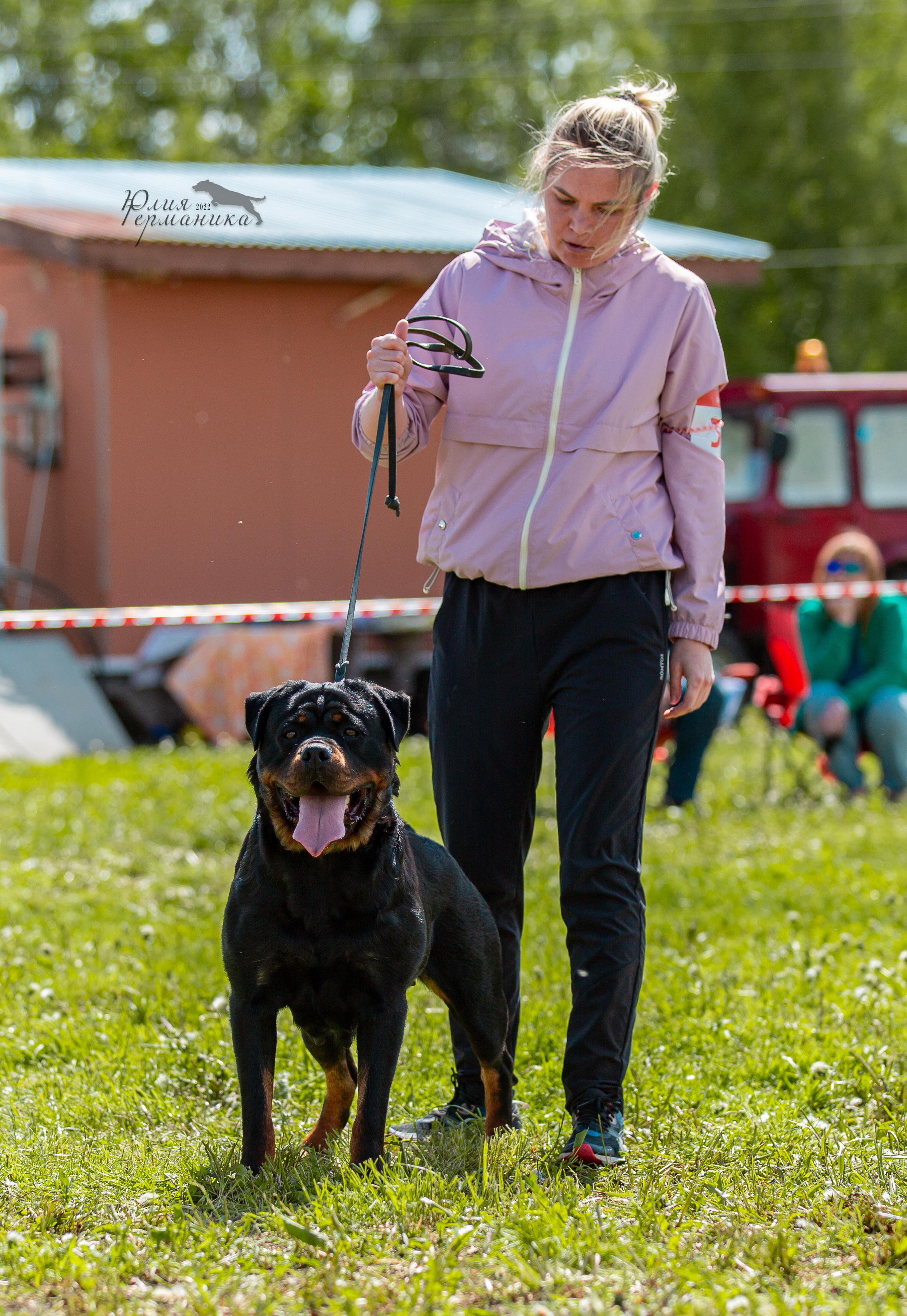 Нижний Новгород моно ротвейлеров 4 июня 2022. Фотограф-анималист Юлия Германика