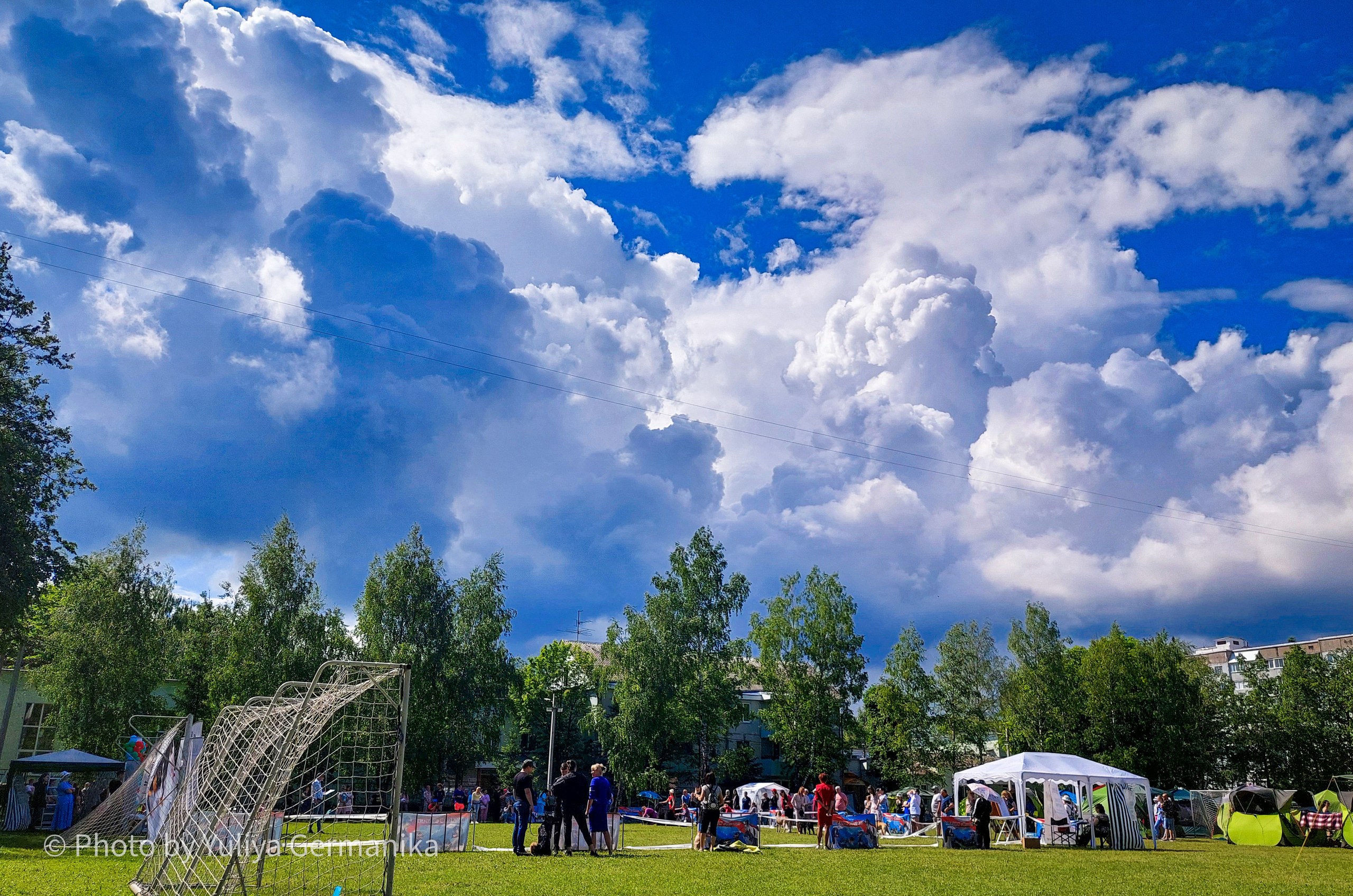 Разные фото на телефон.Города,природа. Фотограф-анималист Юлия Германика