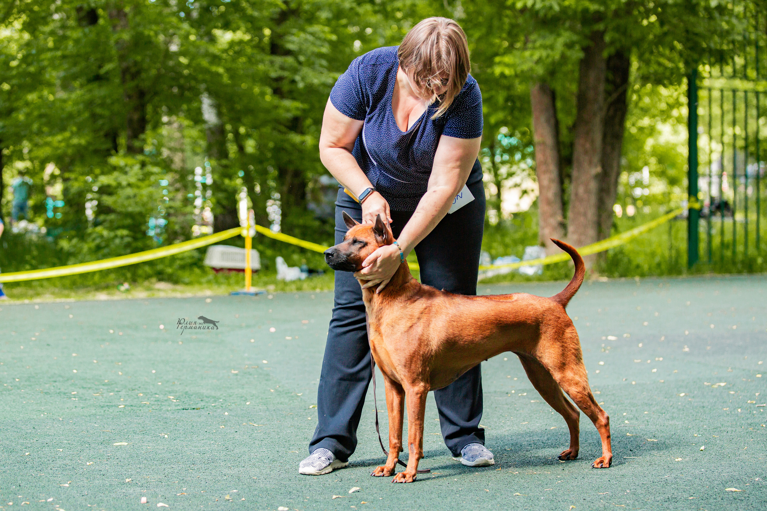 Сергиев Посад 2хСАС 25.06.2022. Фотограф-анималист Юлия Германика