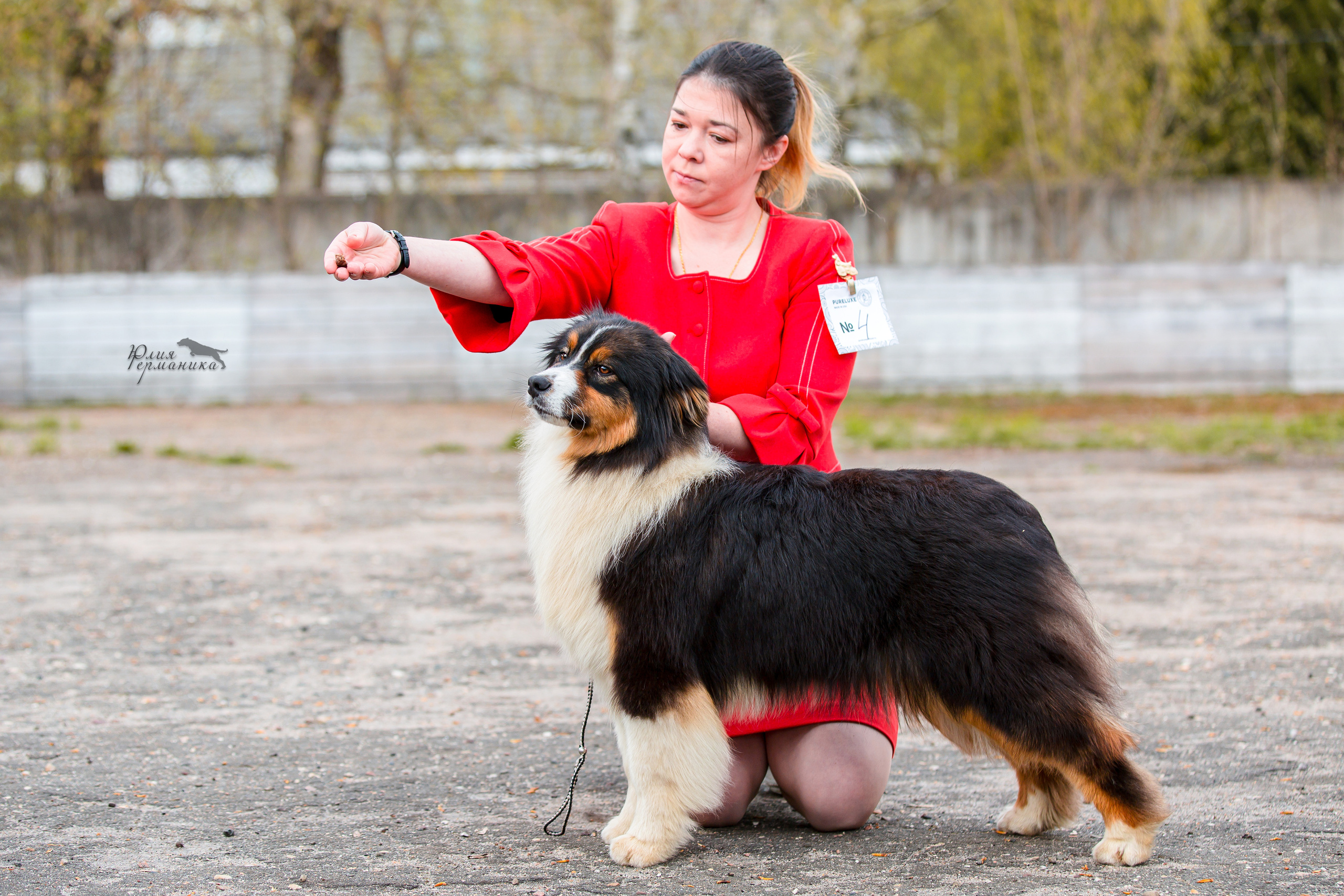 Александров 2хСАС 8 мая 2022. Фотограф-анималист Юлия Германика