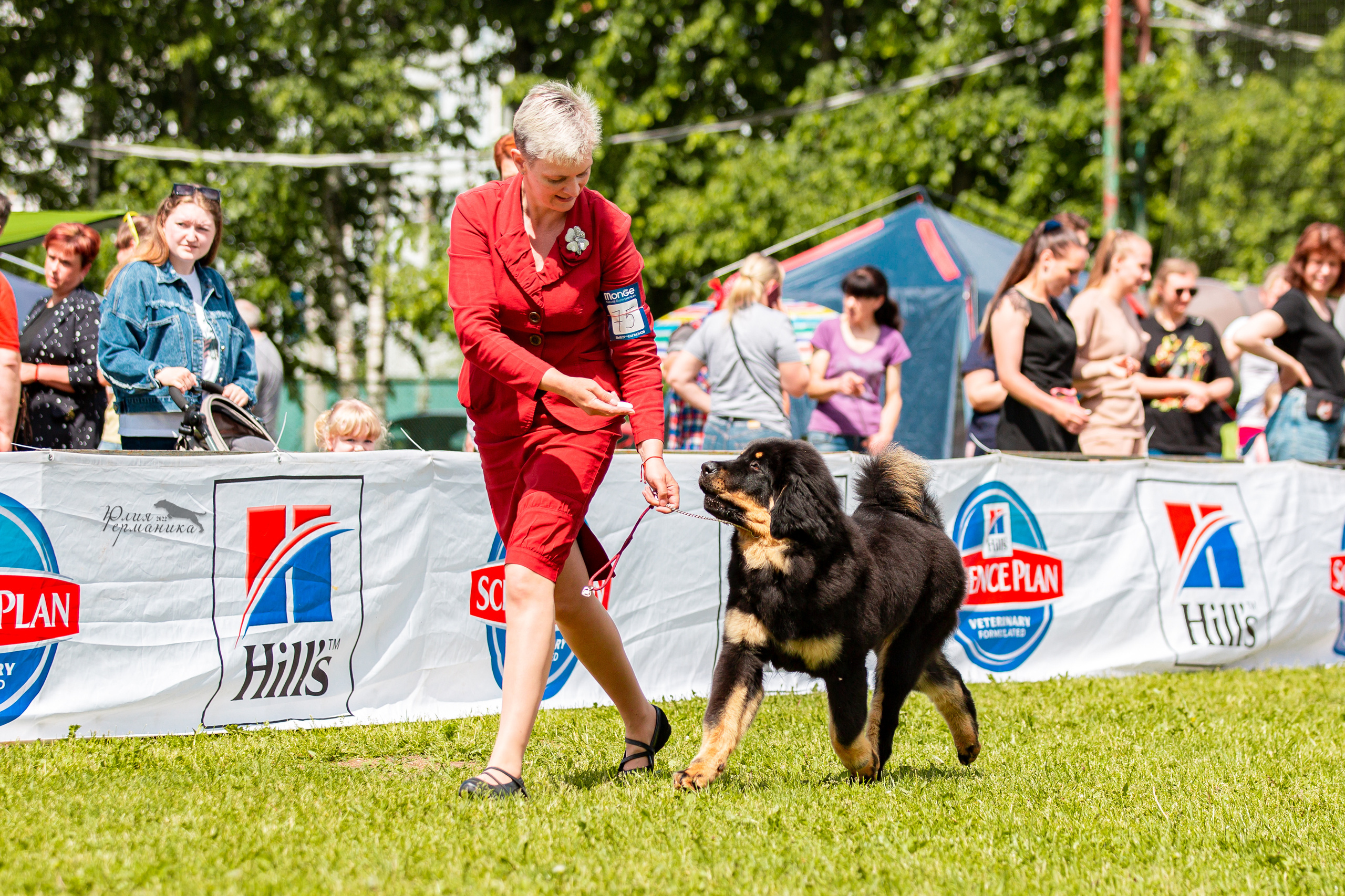 Смоленск 12.06,   Ховрино 13.06,    Питер 18.06 2022. Фотограф-анималист Юлия Германика