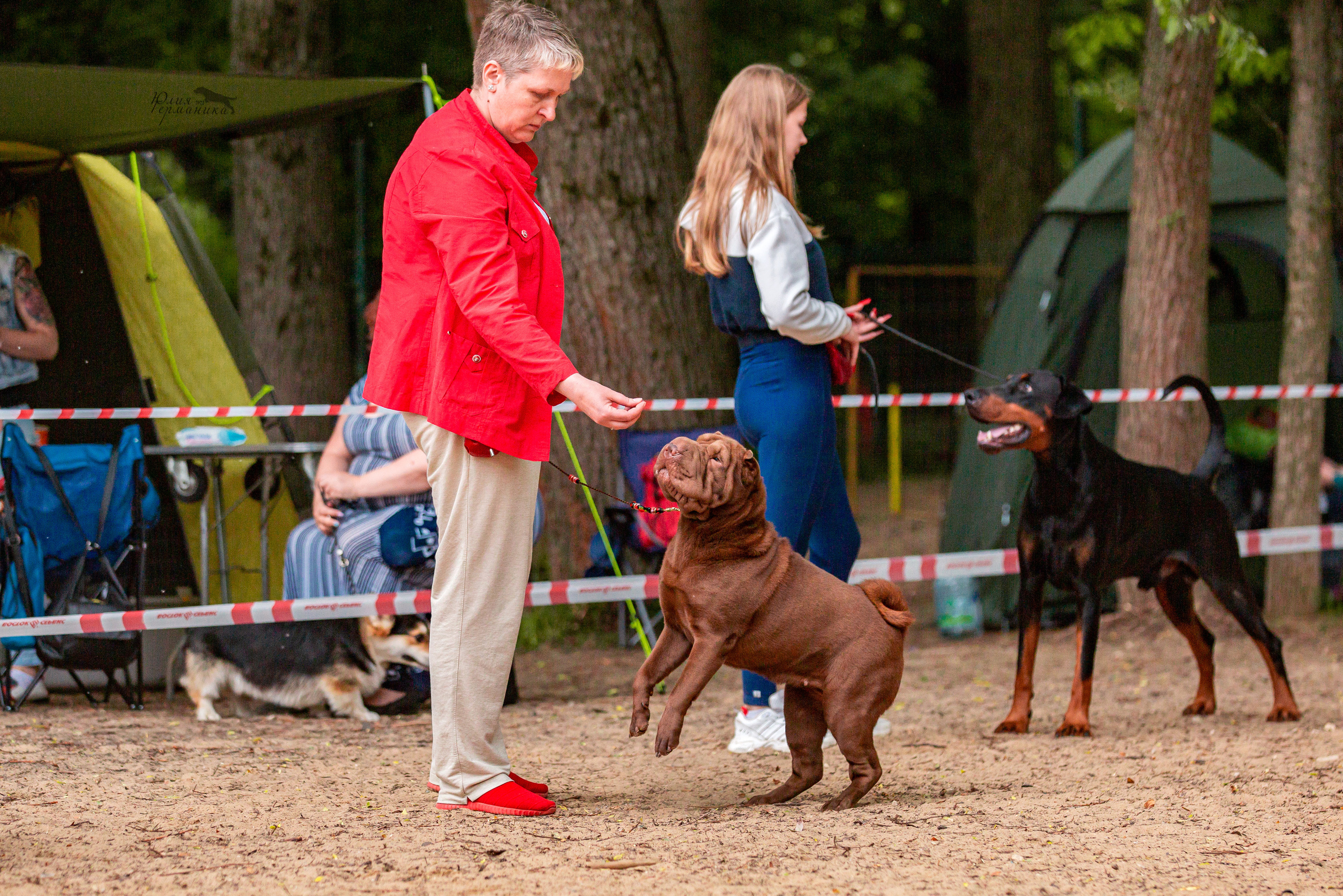 Смоленск 12.06,   Ховрино 13.06,    Питер 18.06 2022. Фотограф-анималист Юлия Германика