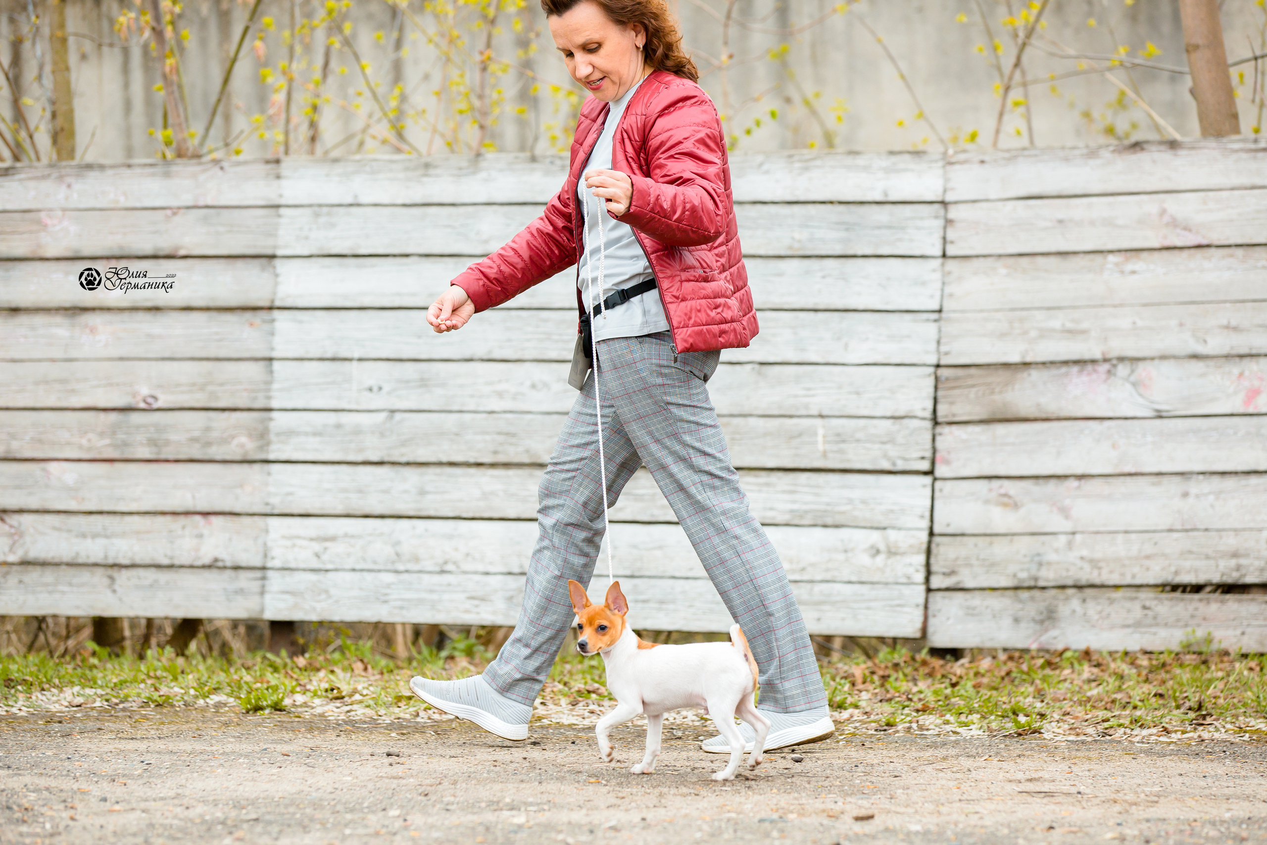 Александров 2хСАС 8 мая 2022. Фотограф-анималист Юлия Германика