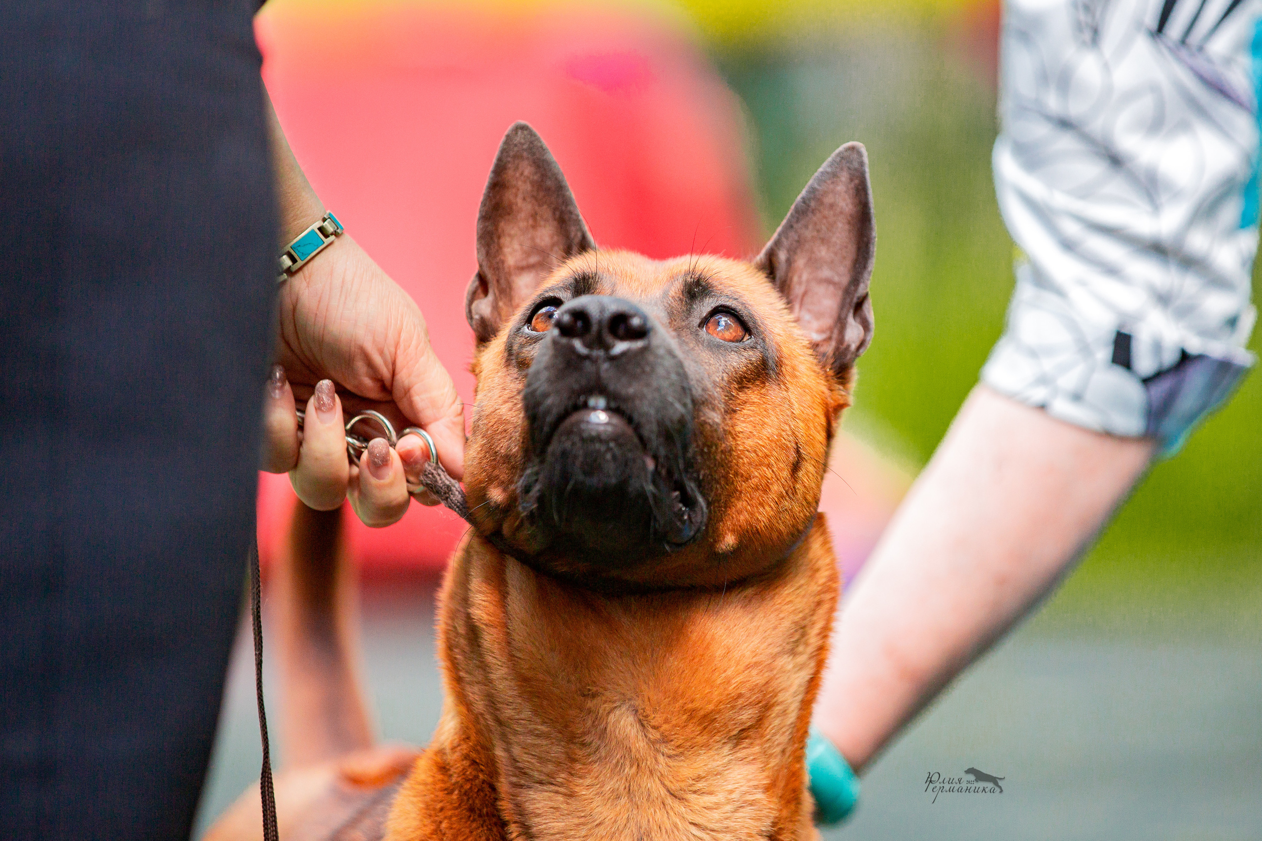 Сергиев Посад 2хСАС 25.06.2022