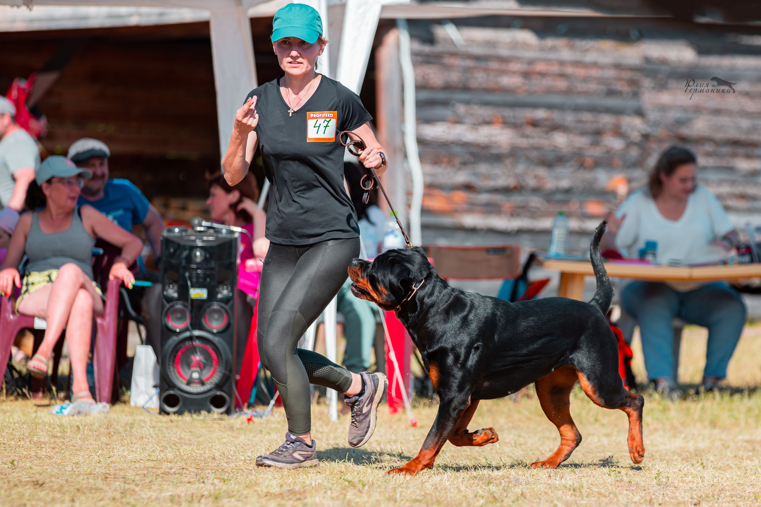 Тверь моно ротвейлеров 2-3.07.2022. Фотограф-анималист Юлия Германика