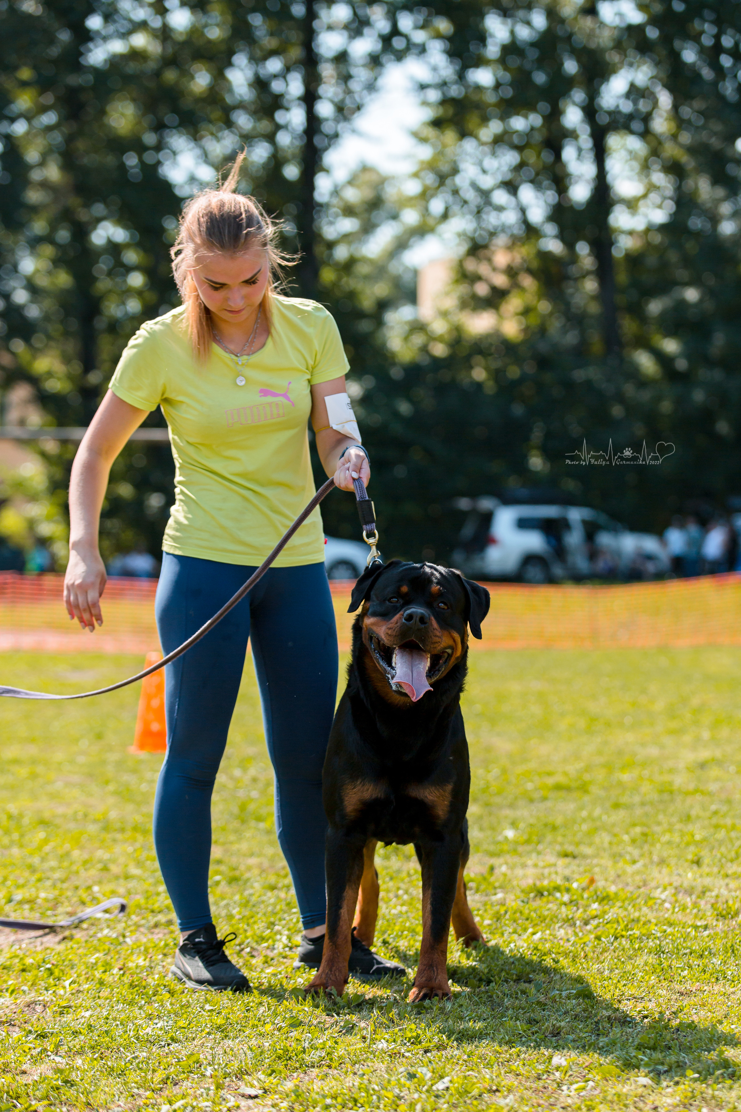 Санкт-Петербург моно ротвейлеров 23.07.2022. Фотограф-анималист Юлия Германика