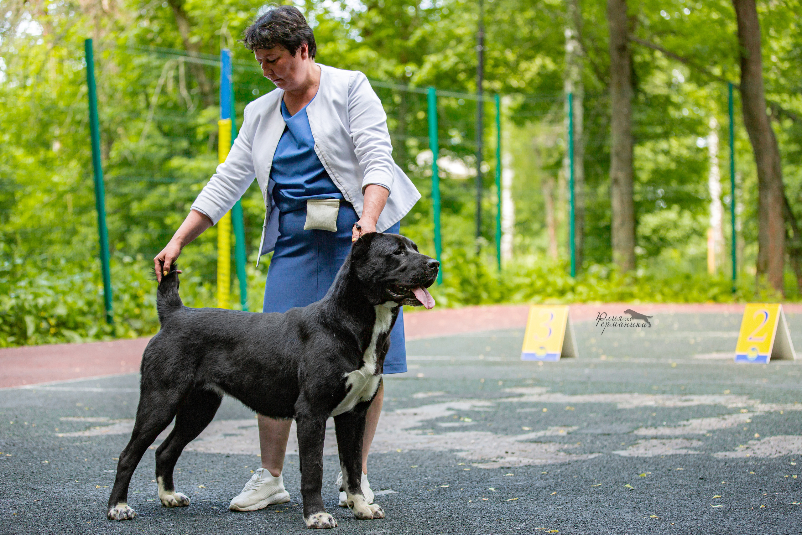 Сергиев Посад 2хСАС 25.06.2022. Фотограф-анималист Юлия Германика