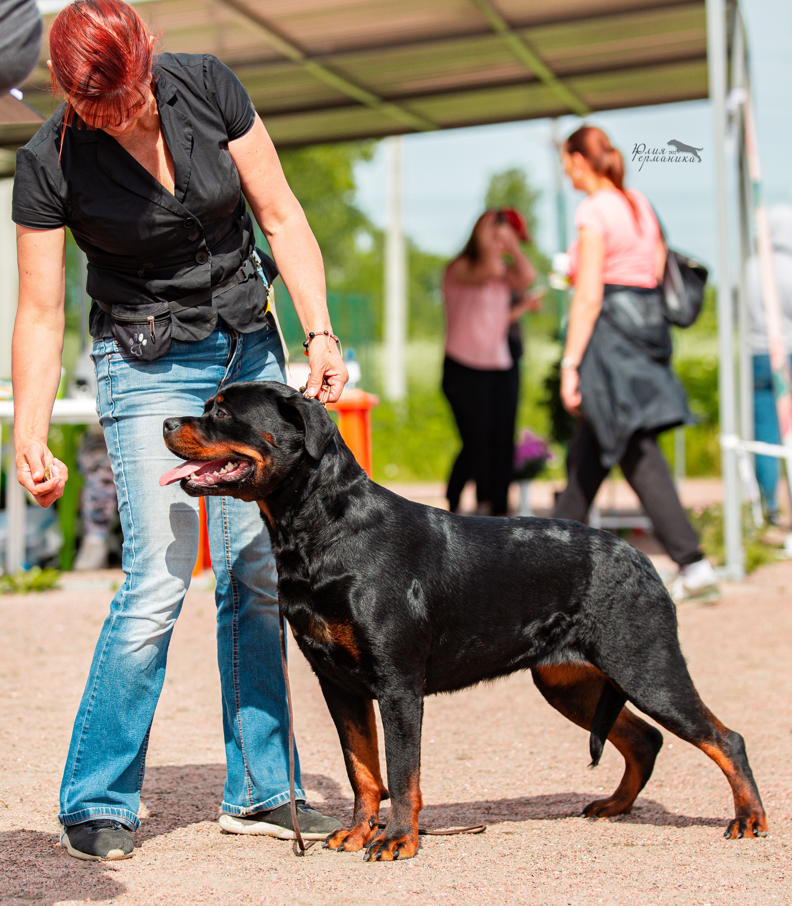 Смоленск 12.06,   Ховрино 13.06,    Питер 18.06 2022. Фотограф-анималист Юлия Германика