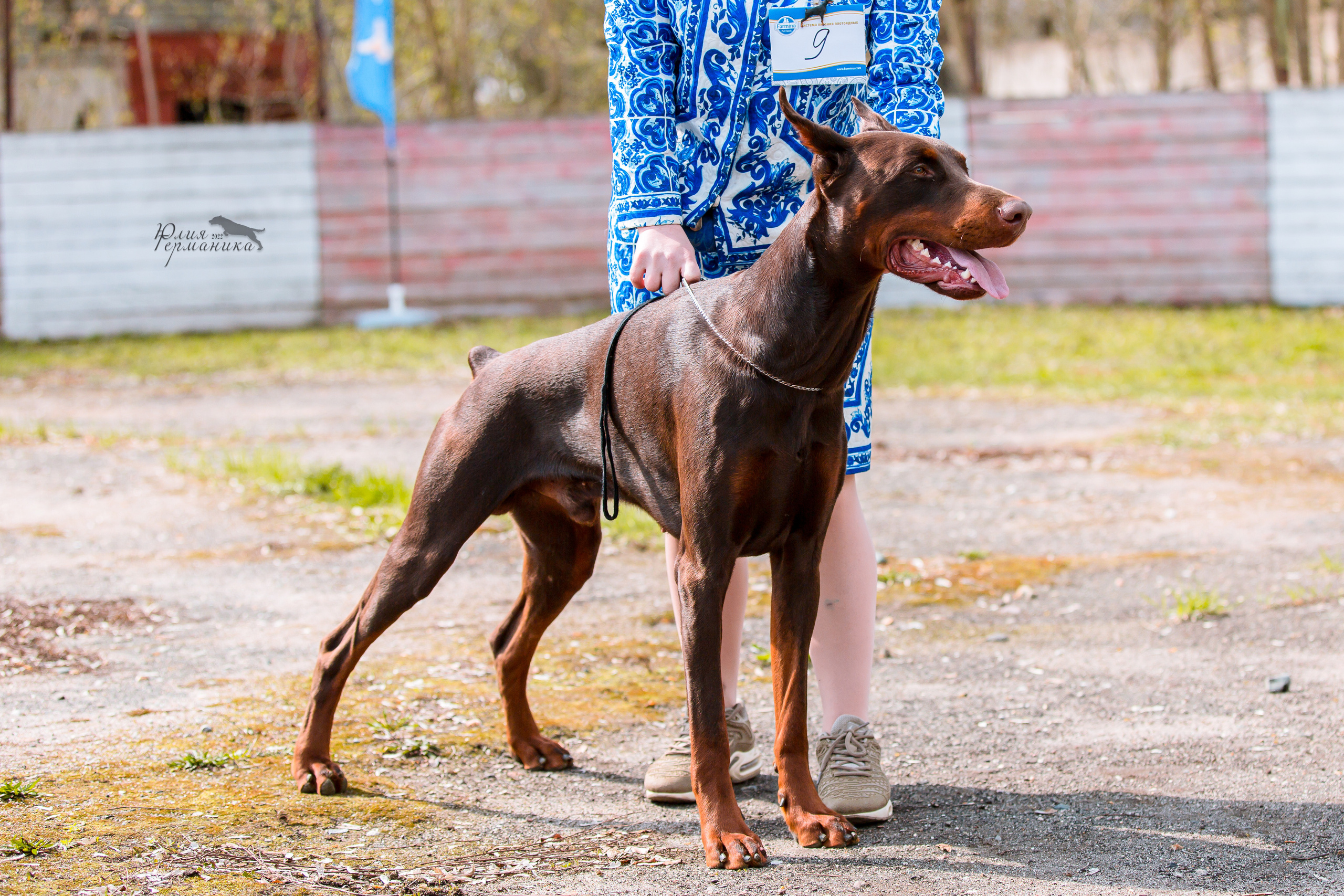 Александров 2хСАС 8 мая 2022. Фотограф-анималист Юлия Германика