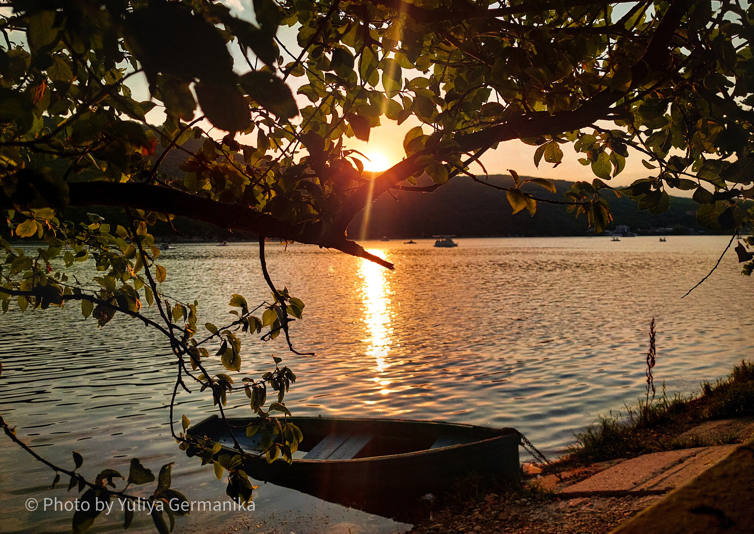 Разные фото на телефон.Города,природа. Фотограф-анималист Юлия Германика