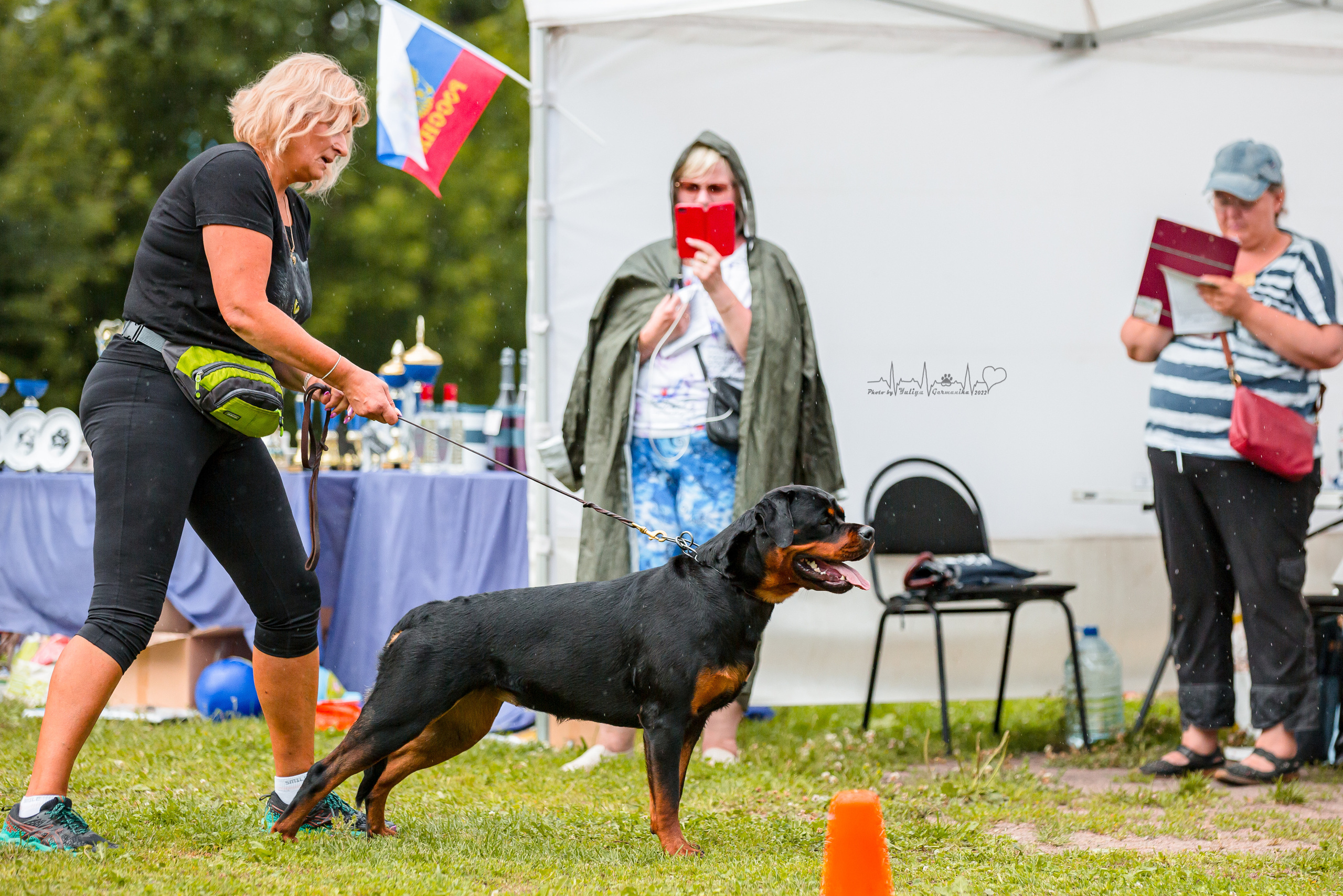 Санкт-Петербург моно ротвейлеров 23.07.2022. Фотограф-анималист Юлия Германика