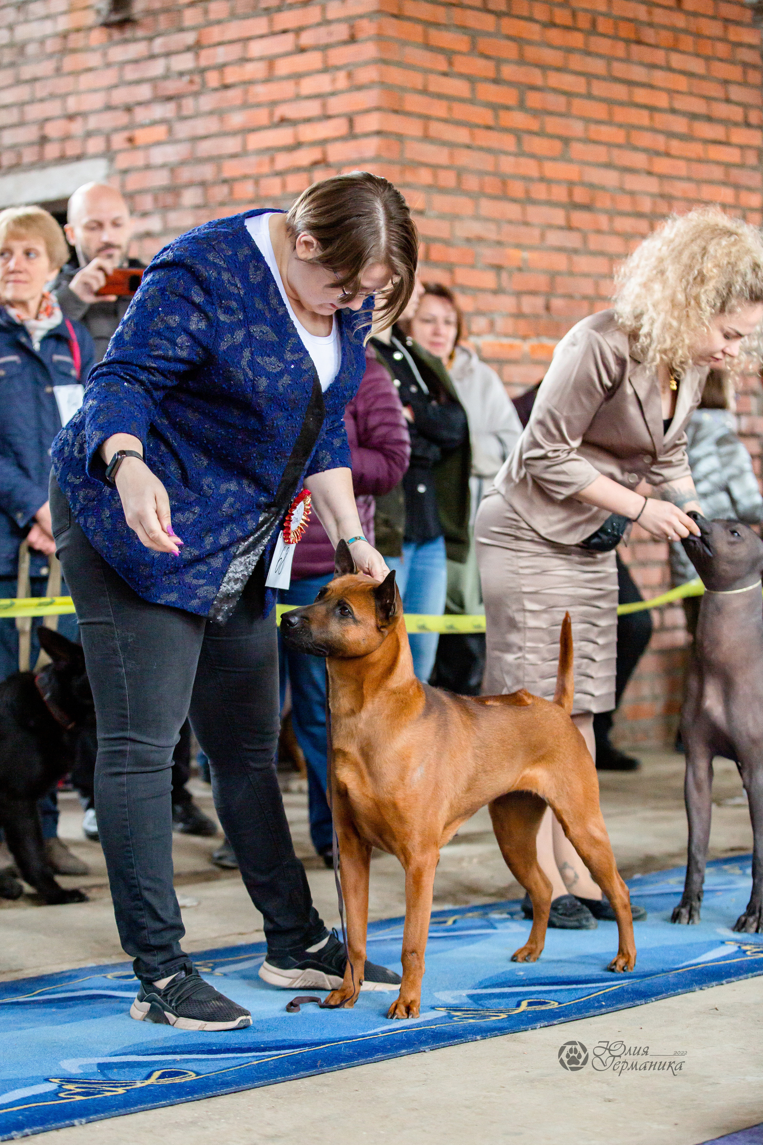 Сергиев Посад 23.04.2022. Фотограф-анималист Юлия Германика