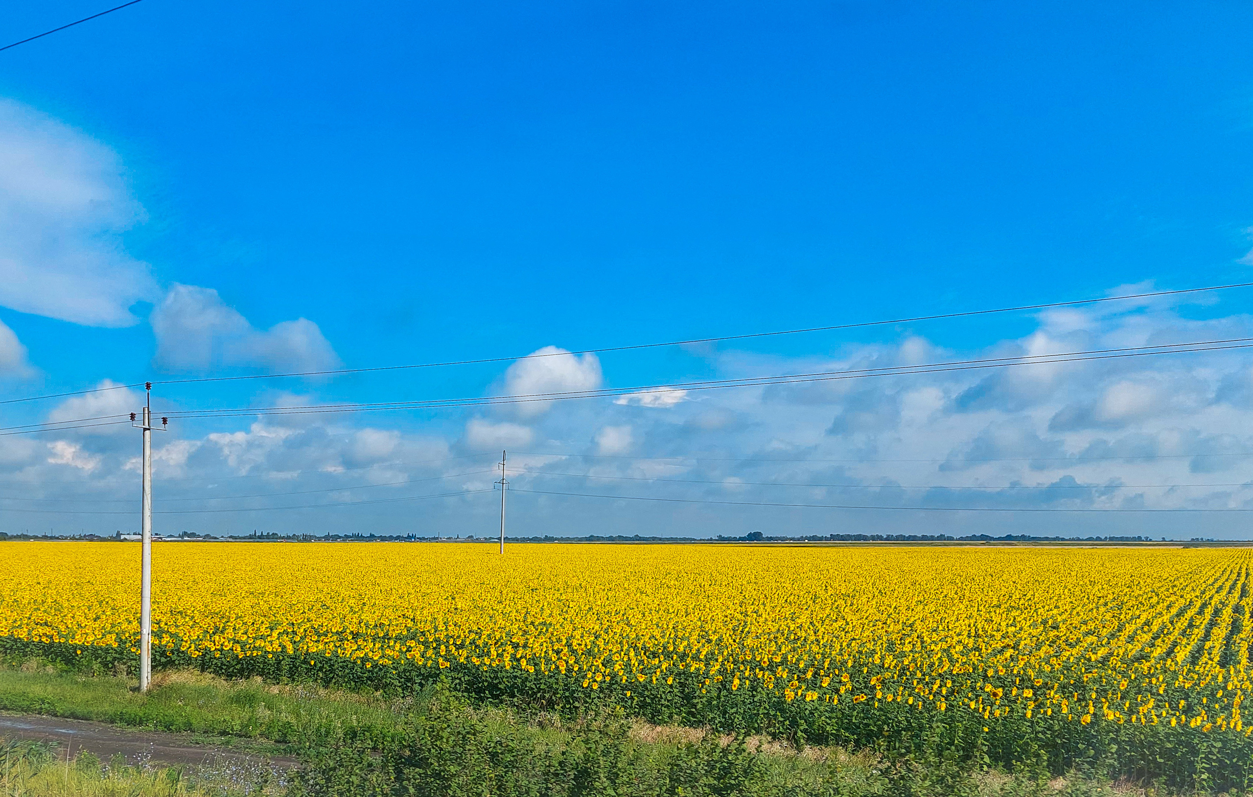 Разные фото на телефон.Города,природа. Фотограф-анималист Юлия Германика