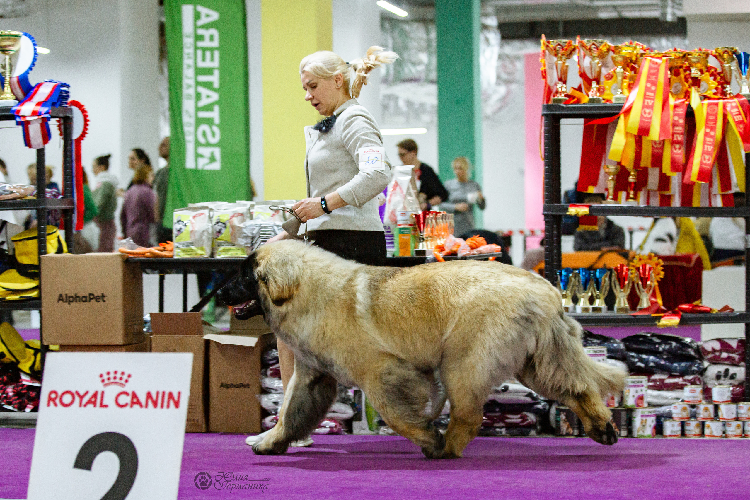 Чайна-Таун 16-17 апреля 2022. Фотограф-анималист Юлия Германика