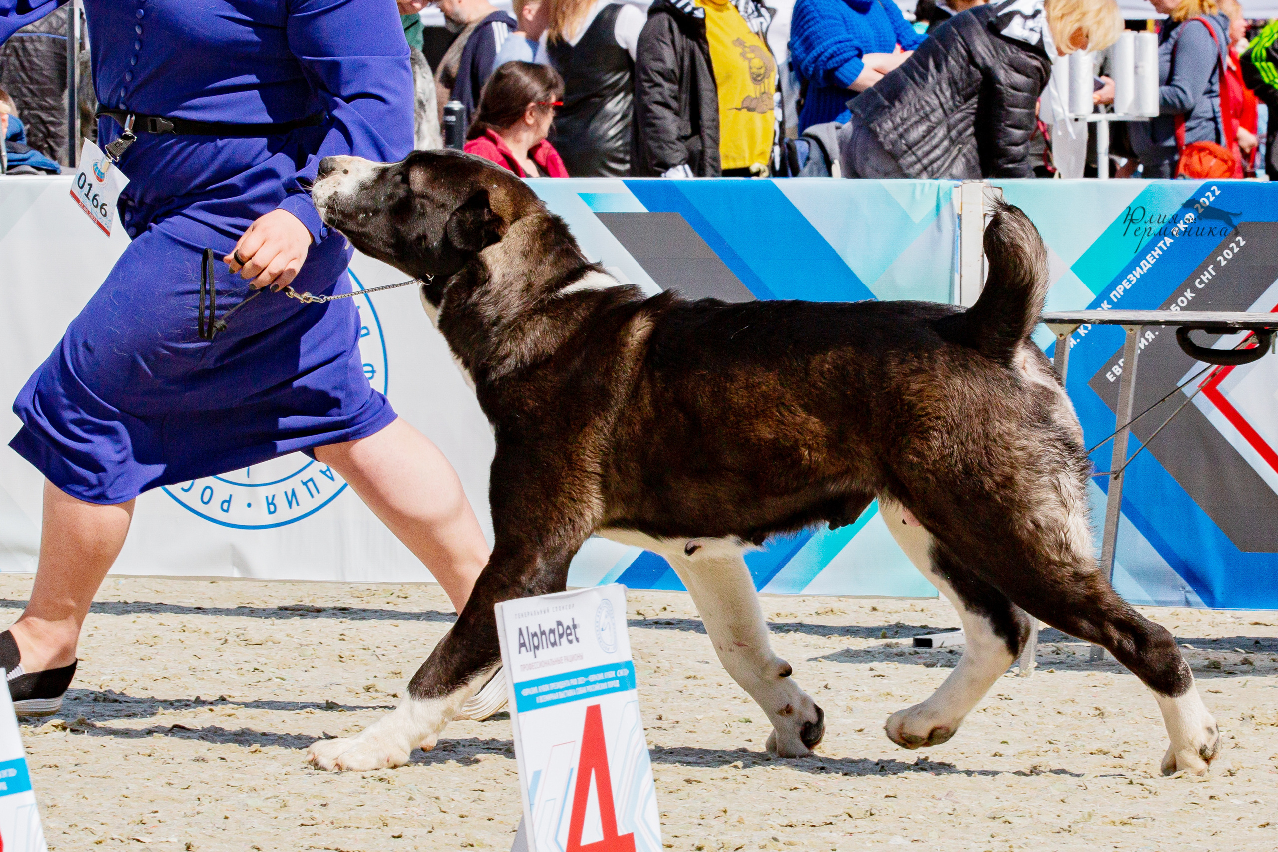 Евразия 21-22 мая 2022. Фотограф-анималист Юлия Германика