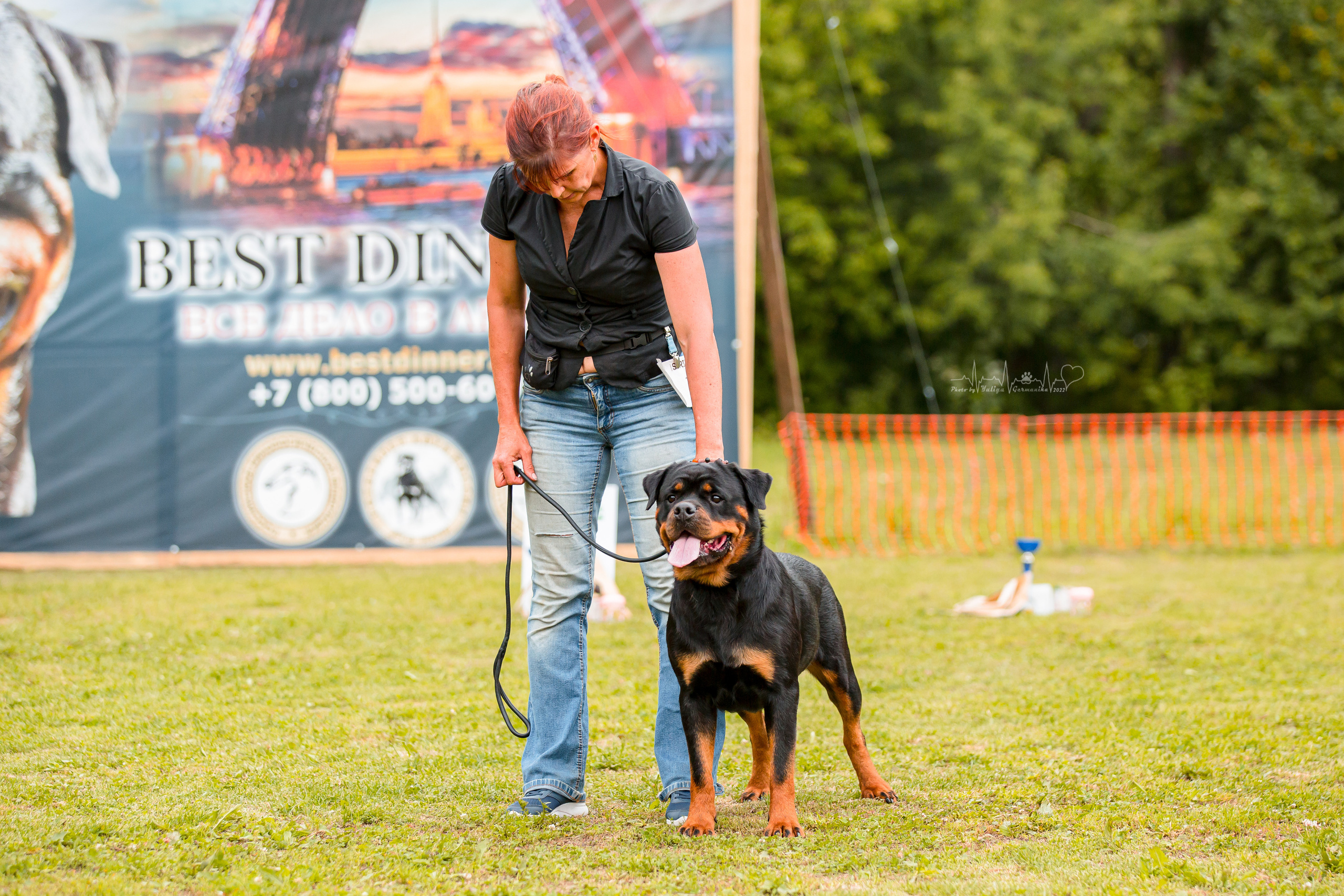 Санкт-Петербург моно ротвейлеров 23.07.2022. Фотограф-анималист Юлия Германика