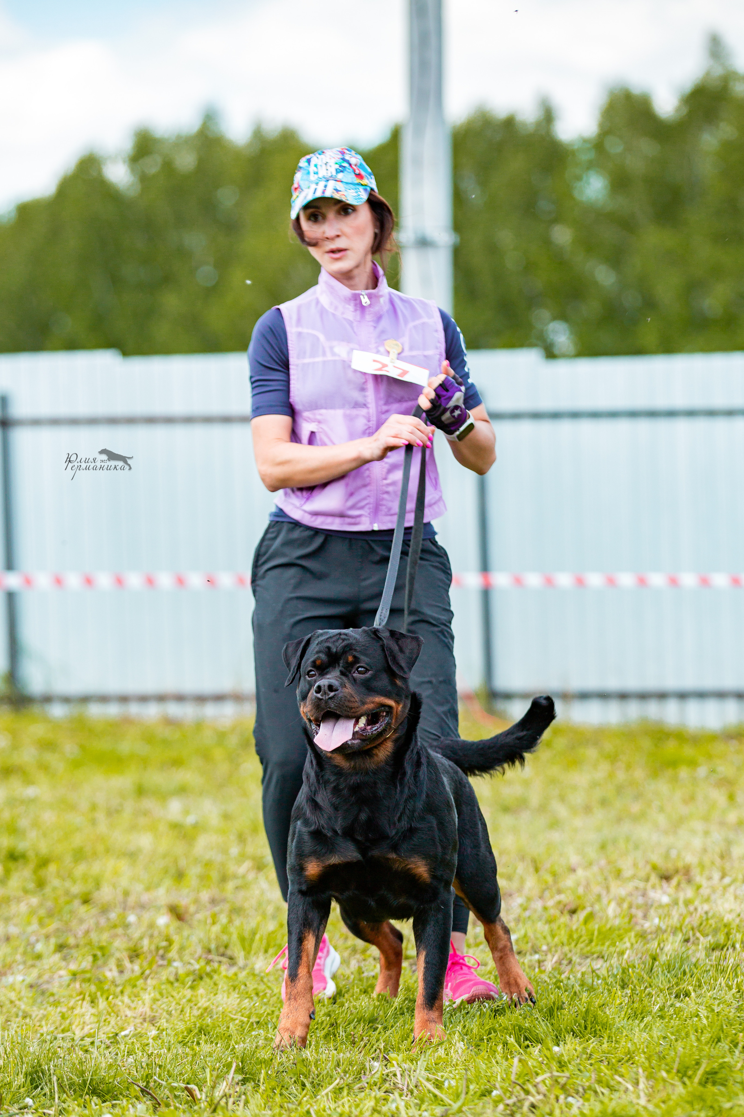 Нижний Новгород моно ротвейлеров 4 июня 2022. Фотограф-анималист Юлия Германика