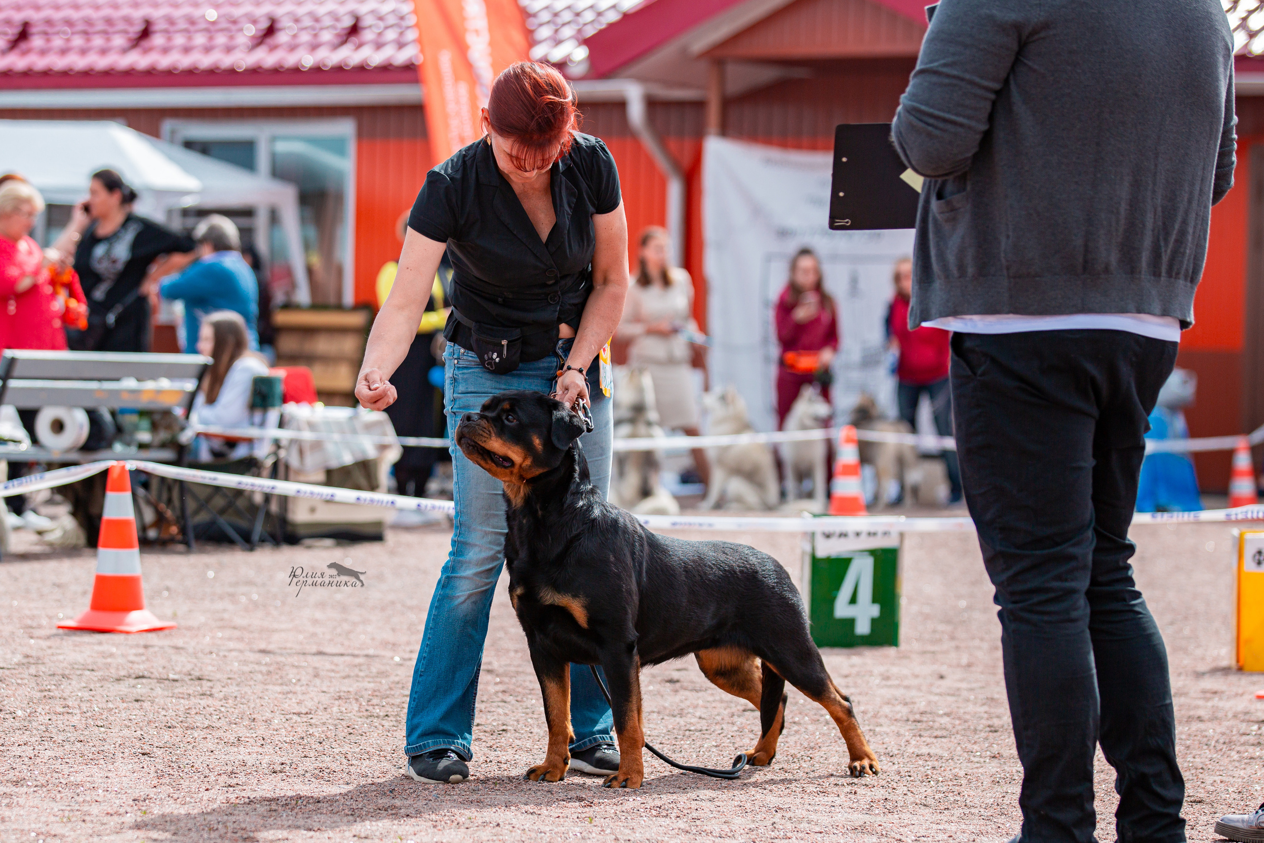 Смоленск 12.06,   Ховрино 13.06,    Питер 18.06 2022. Фотограф-анималист Юлия Германика